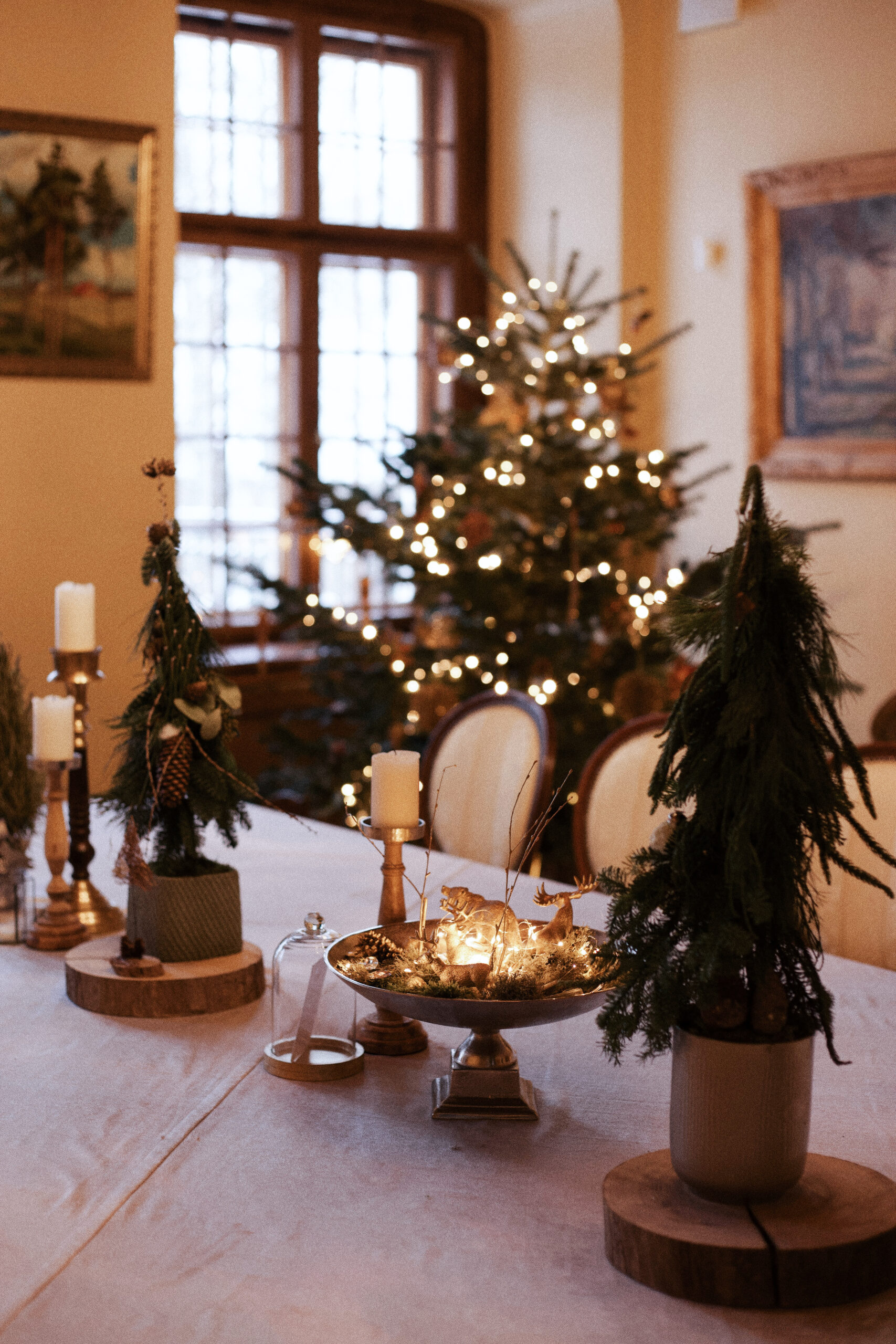 Edited in Tezza with: INSPR, Brightness, Temperature, & Grain