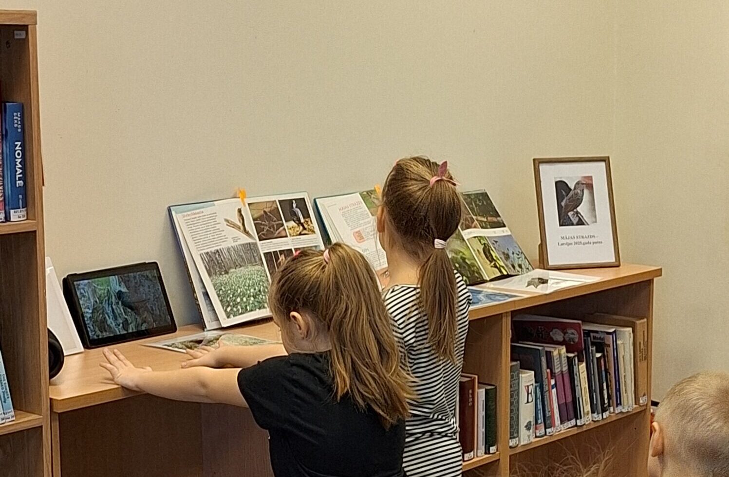 Allažu bibliotēkā izpētīts 2025. gada putns