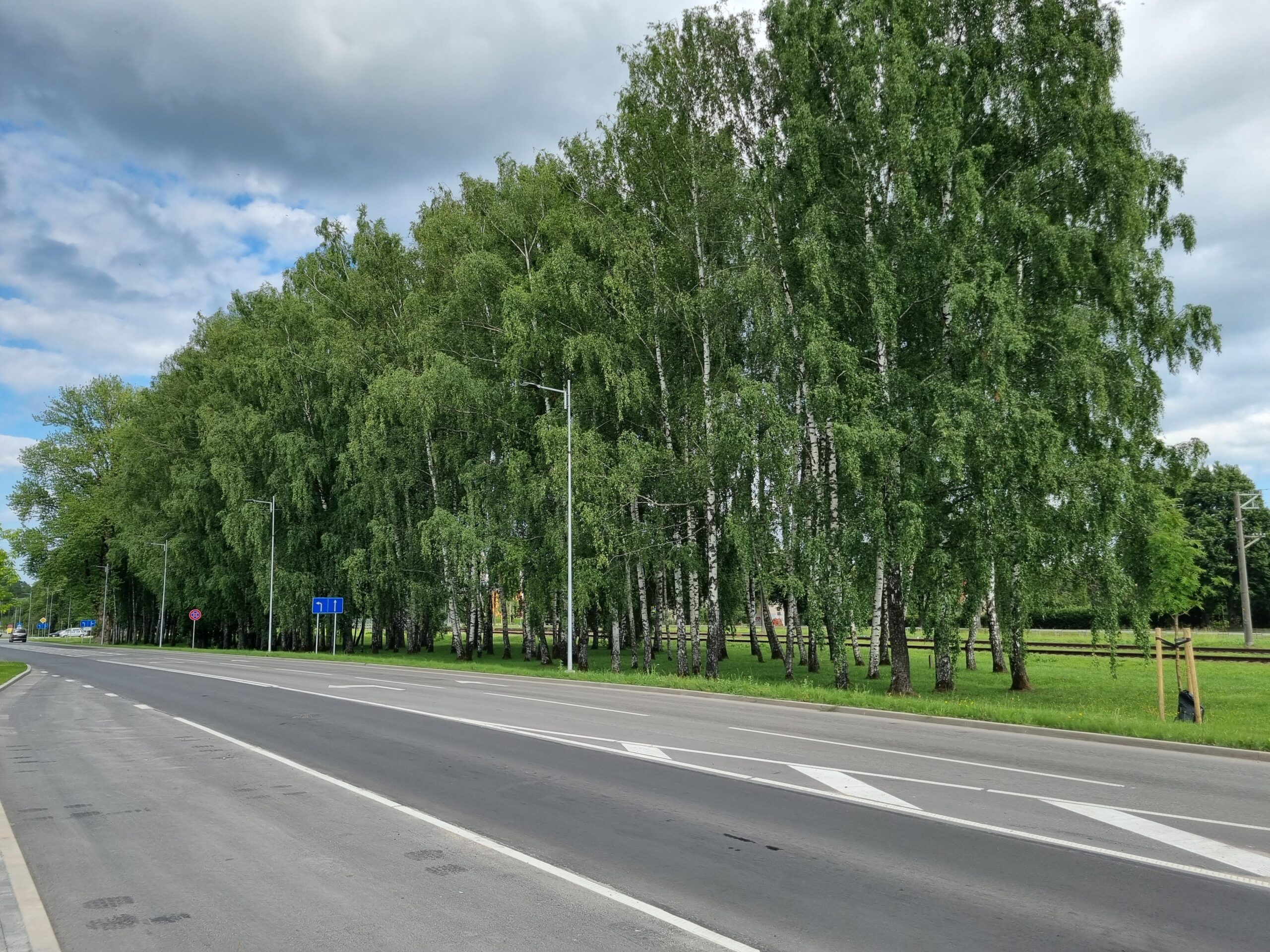 Aicina iesniegt priekšlikumus jaunam skvēra “Gagarina birzs” nosaukumam