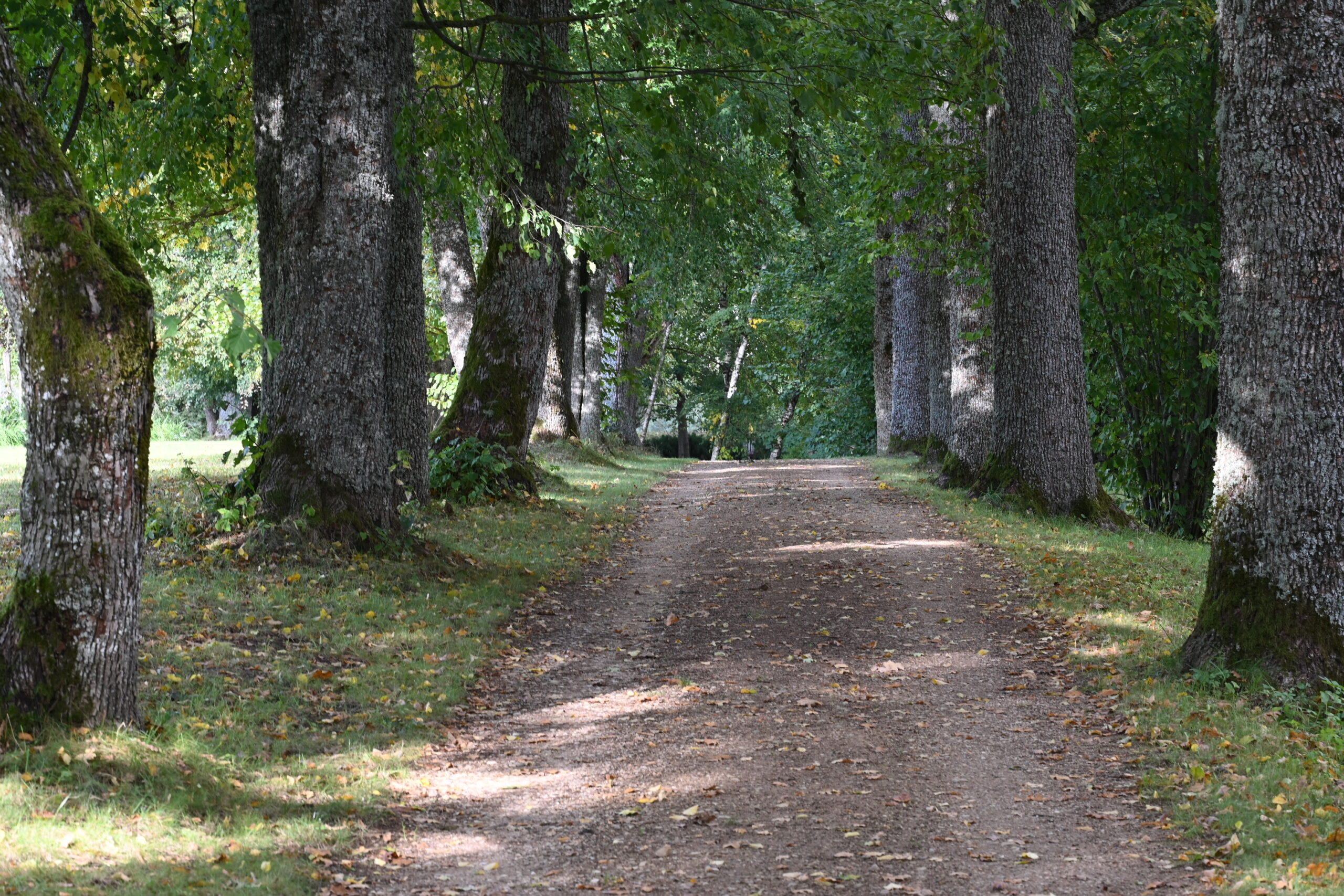 Bezmaksas semināru cikls par parku apsaimniekošanu un bioloģisko daudzveidību notiks arī Siguldā