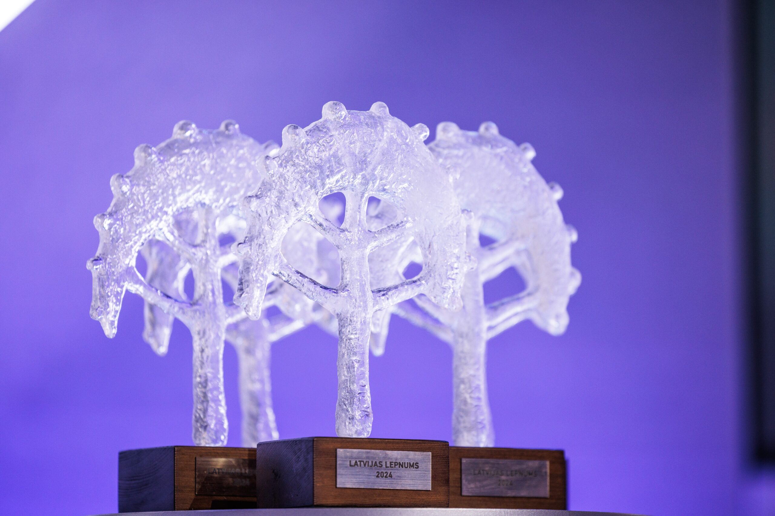 Mums ir ar ko lepoties – piesaki “Latvijas Lepnums 2025” kandidātus