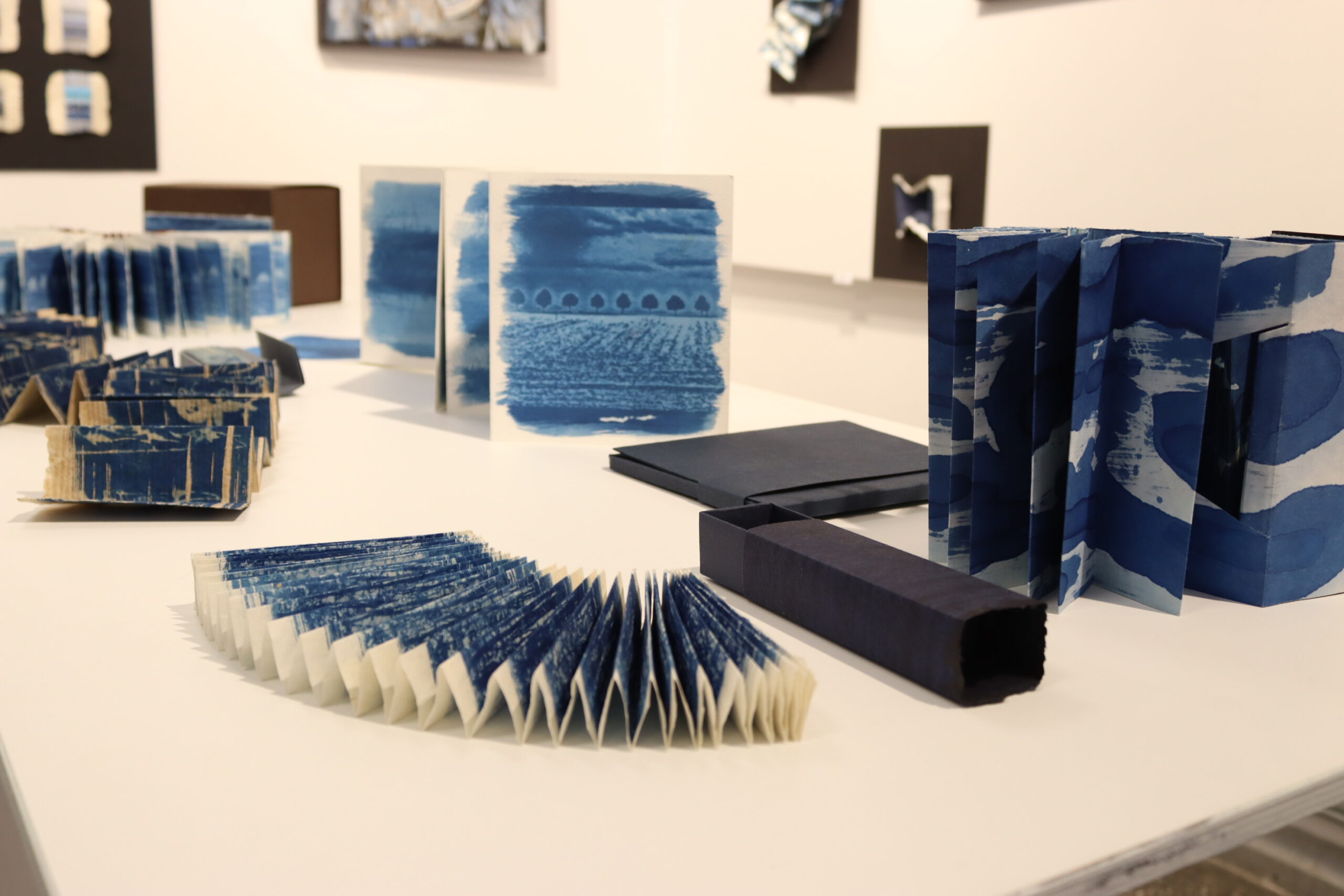 Siguldas novada bibliotēkā atklāta jau ceturtā papīrmākslas un mākslinieku oriģinālgrāmatu izstāde “Un atkal zilā vakarā”