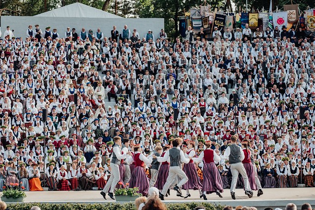 54561685982_4551e45682_z