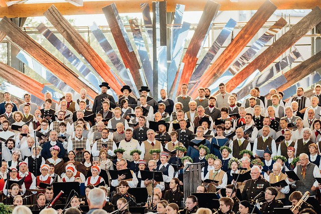 54562538520_3753927fde_z