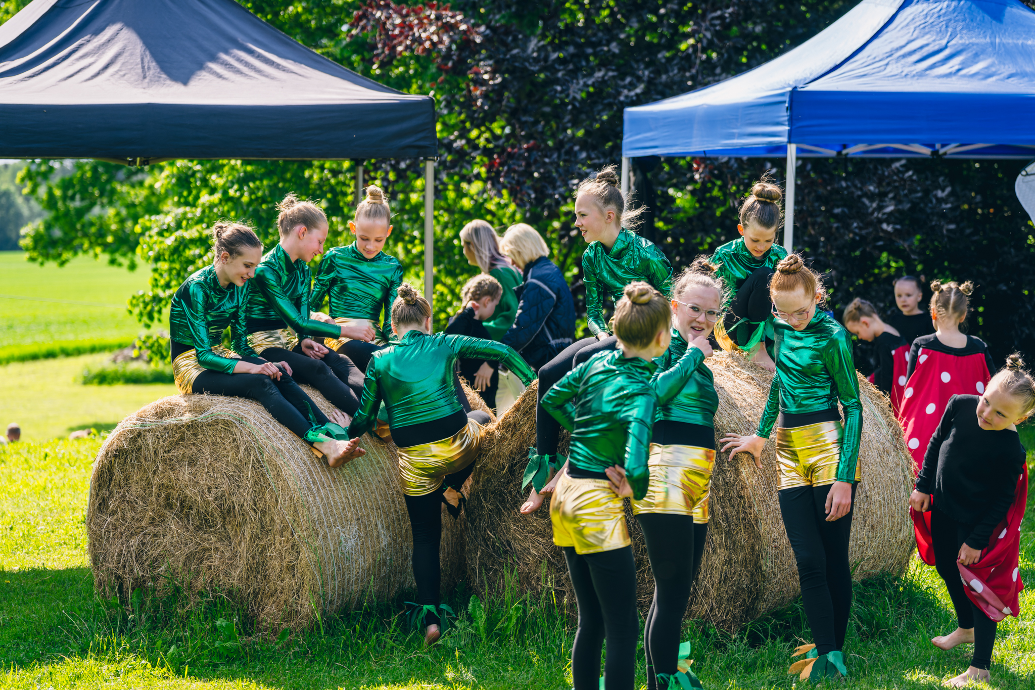 A-zarts -Kas tur pļavā čabinās--9