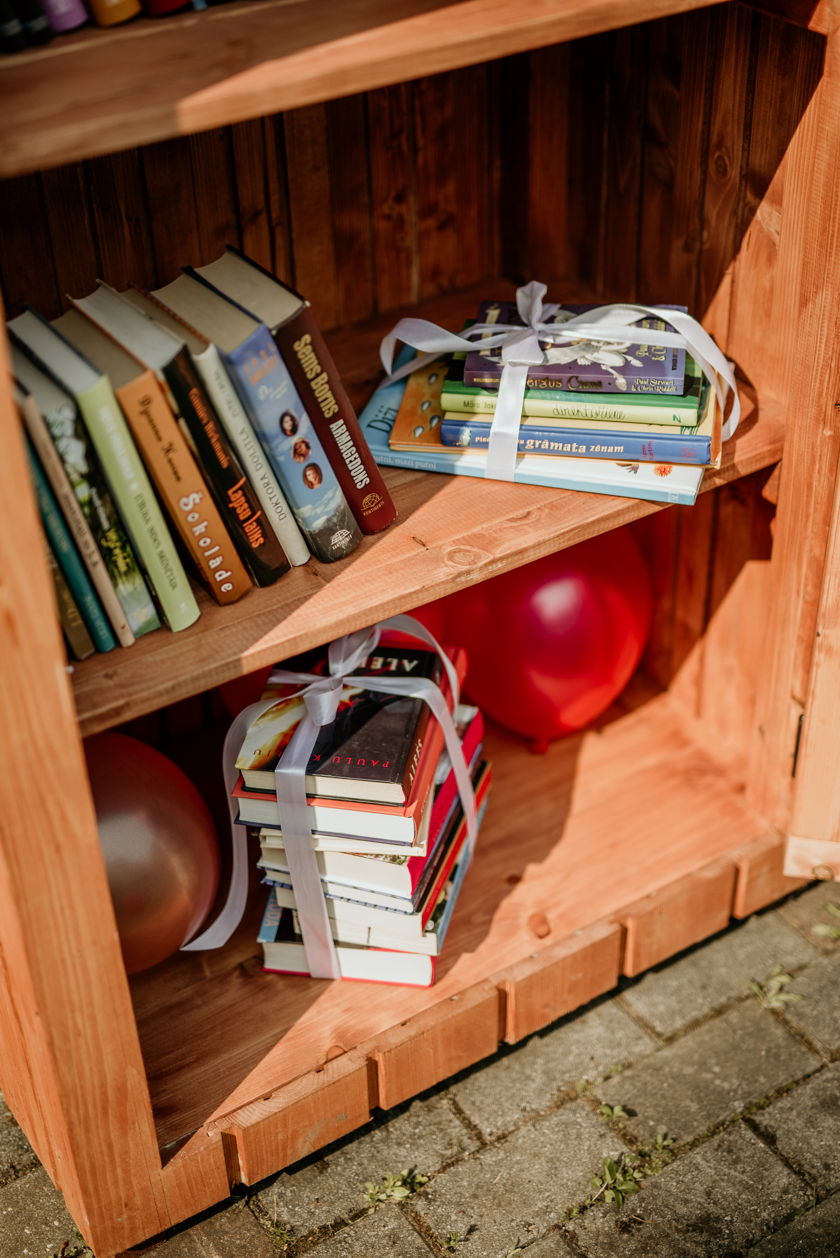 AraLasitava_KrimuldasBiblioteka-18