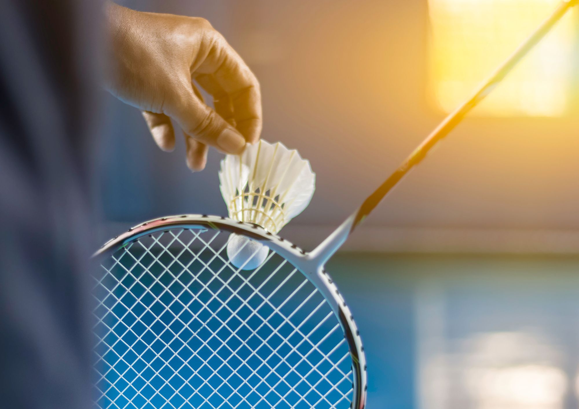 21. Siguldas novada atklātais starptautiskais čempionāts badmintonā