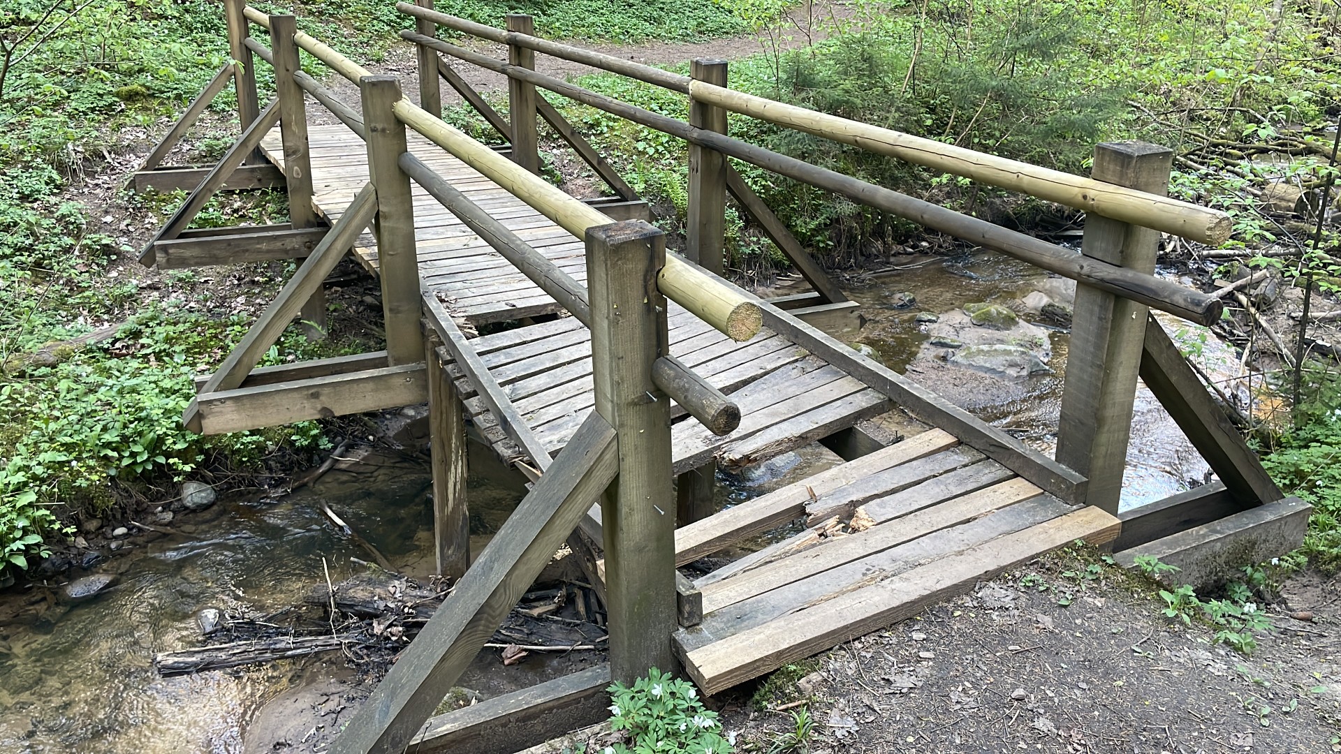 Dabas aizsardzības pārvalde atjaunos bīstamo posmu Gaujas Nacionālā parka Vikmestes takā&nbsp;