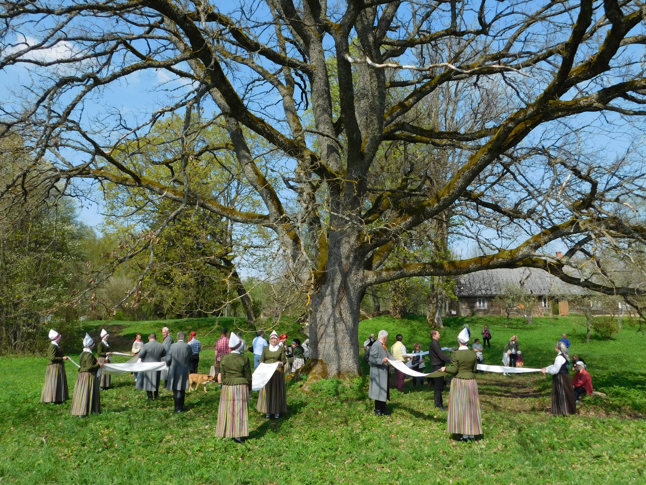 Mores pagasta “Kalna Vaizuļos” norisināsies talka Ūsiņdienas noskaņās