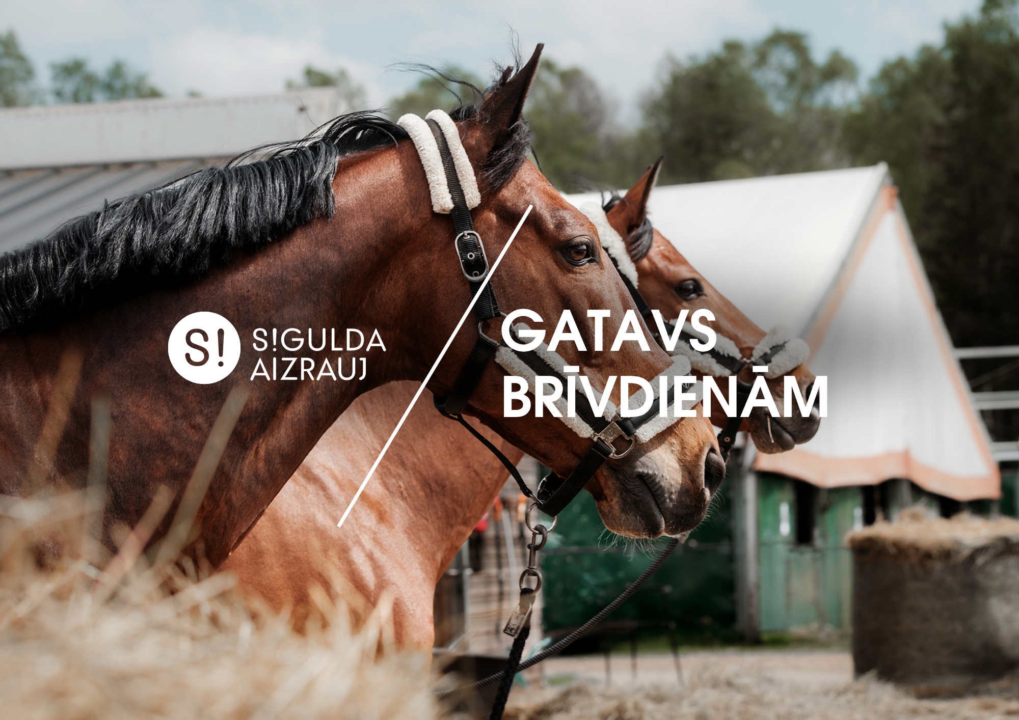 Šonedēļ Siguldas novadā: Pasaules kausa posms konkūrā, Anšlava sporta diena, mākslas plenērs un citi notikumi