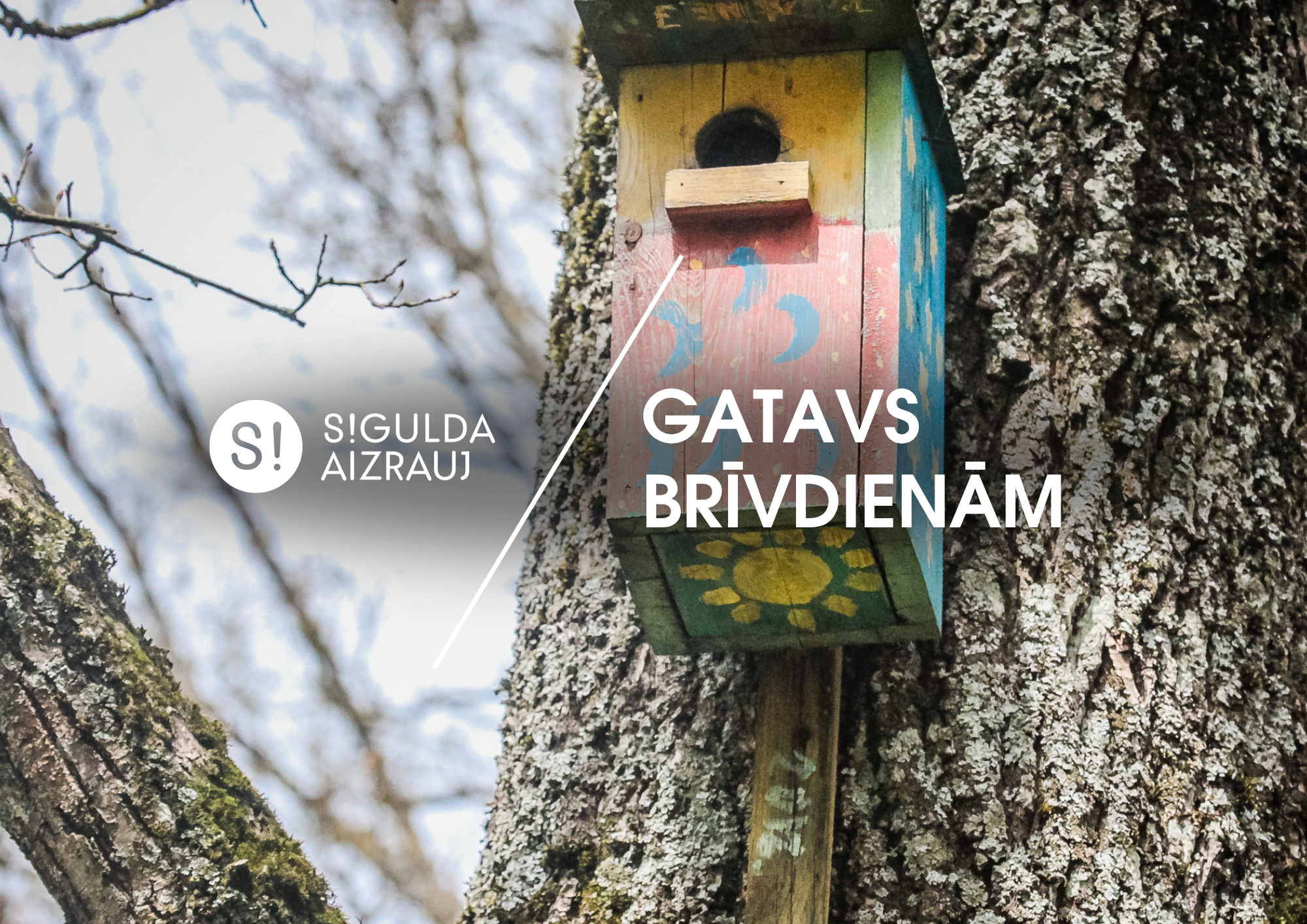 Šonedēļ Siguldas novadā: Bibliotēku nedēļa, dokumentālās filmas “Trešā jaunība” pirmizrāde, klavieru kvarteta Quadra un Vizmas Zvaigznes koncerts “Latvieši un kamermūzika” un citi notikumi