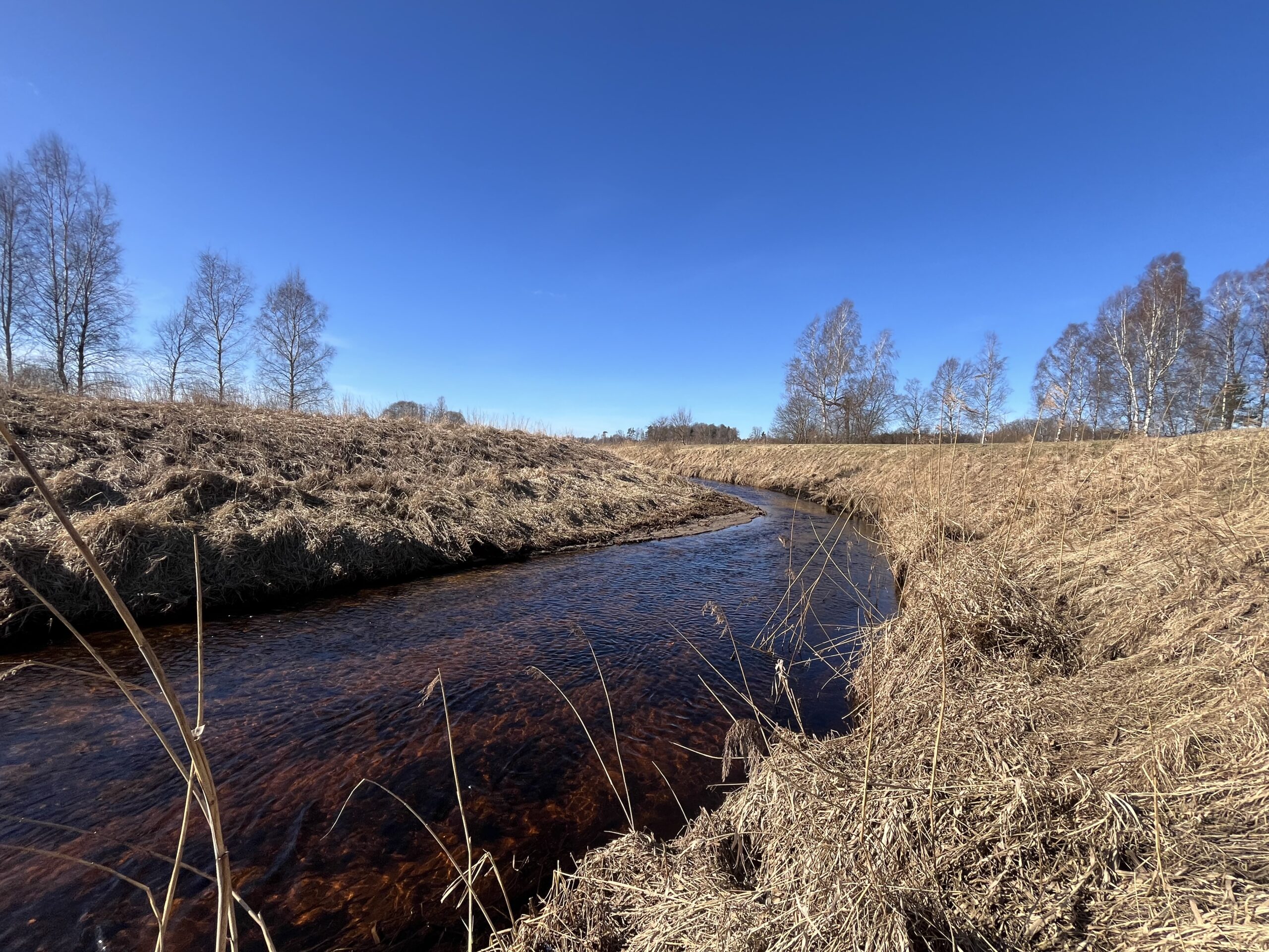 Lēdurgā uzstādīs Aģes zīmi Salacas lībiešu valodā