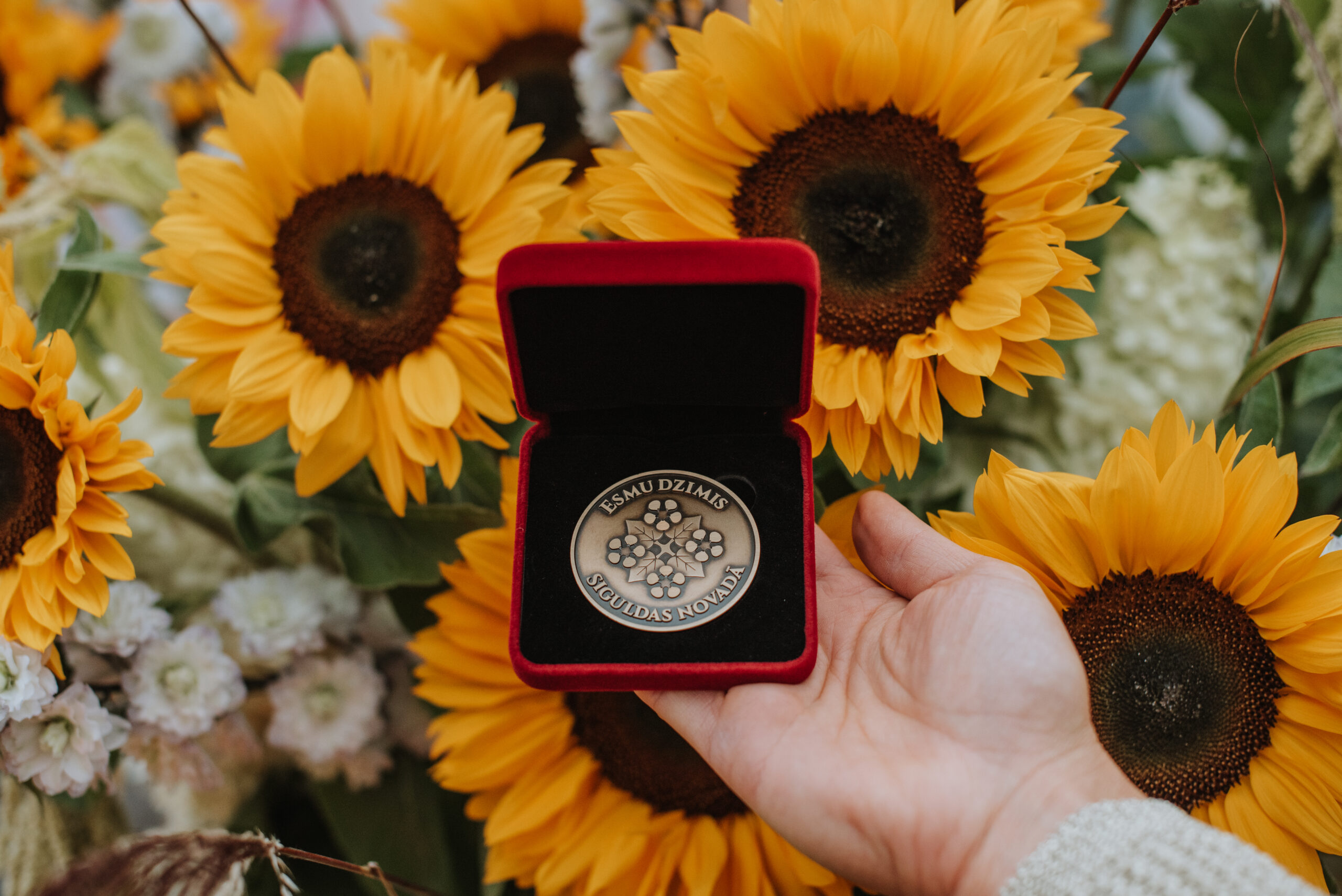 Turpinās reģistrēšanās 2025. gada Siguldas novadā dzimušo mazuļu medaļas saņemšanai