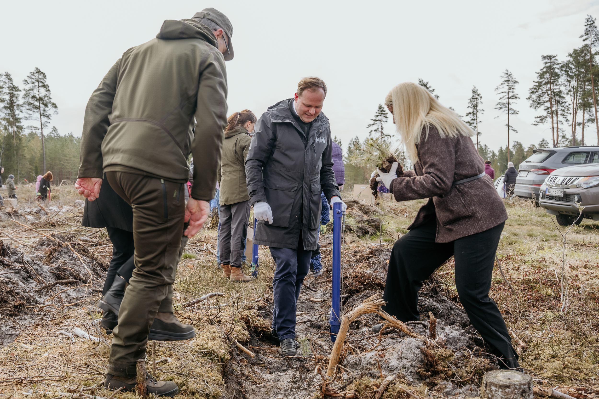 Koku_stadisana_Allazi-9