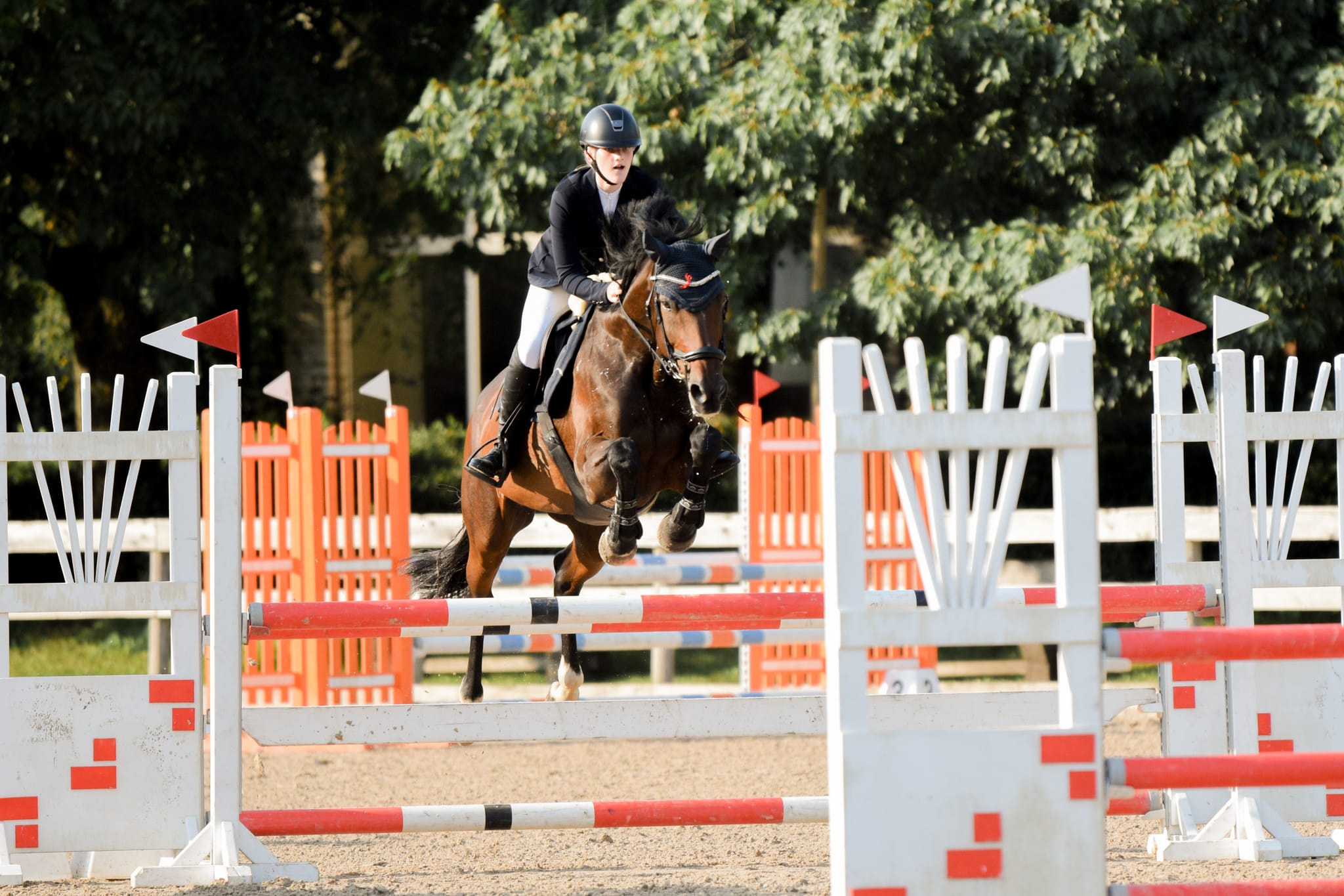 Nodibinājuma “Dimantu pakavi” jātniecēm panākumi jātnieku sportā