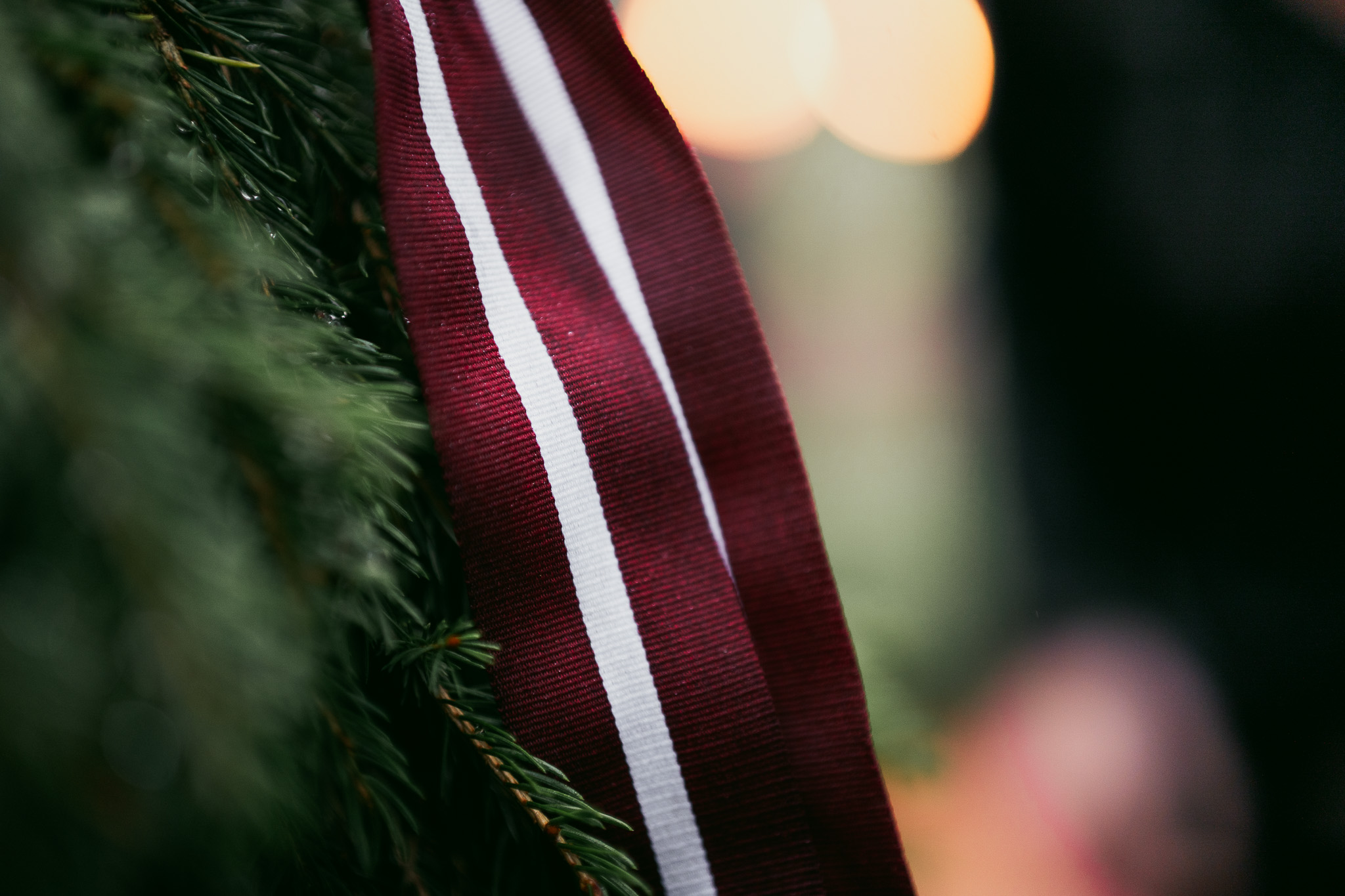 Goda ģimenēm novembra svētkos reģionālajos autobusos un vilcienos ir bezmaksas braucieni