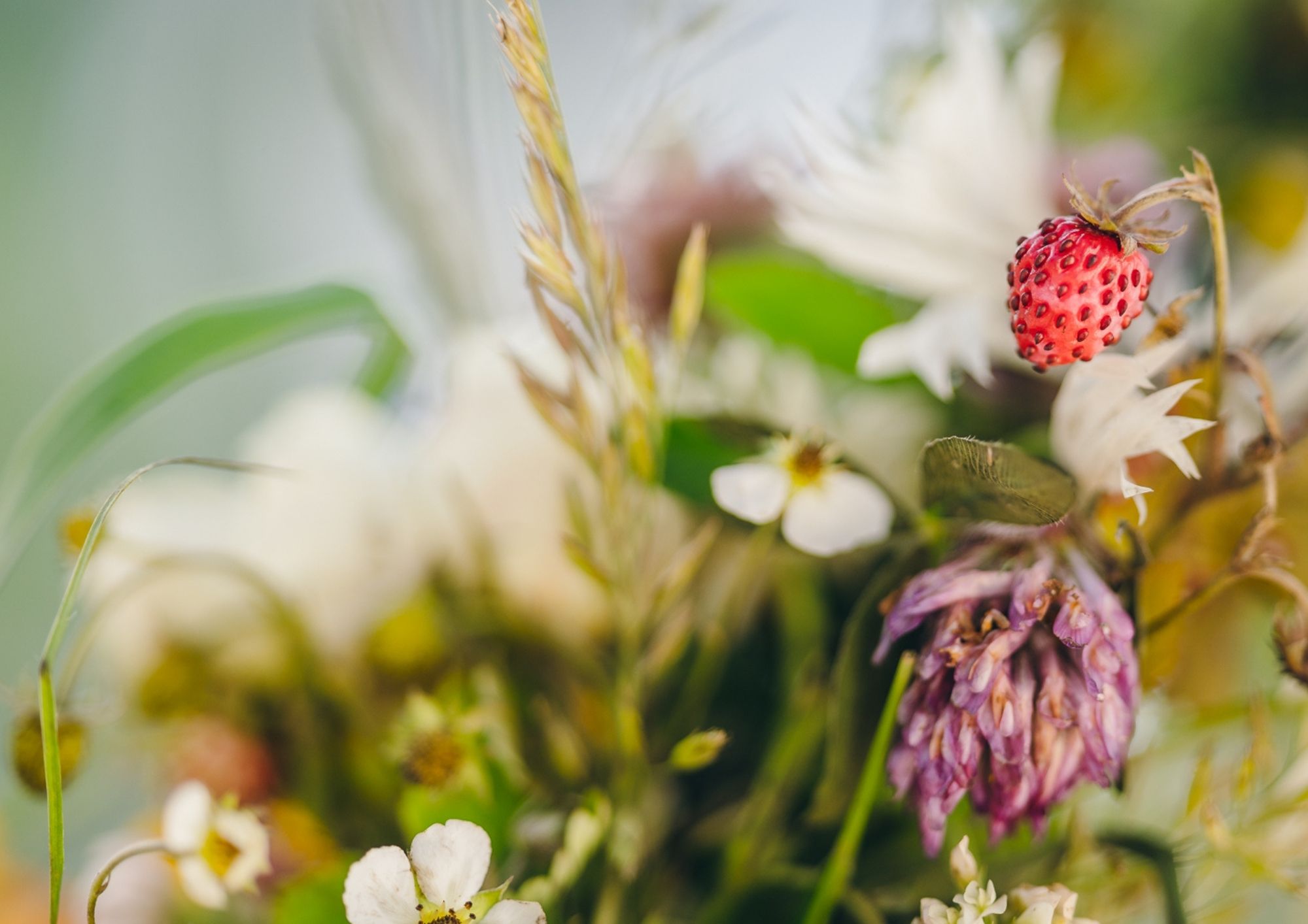 Siguldas novada pašvaldības darba laiks svētkos