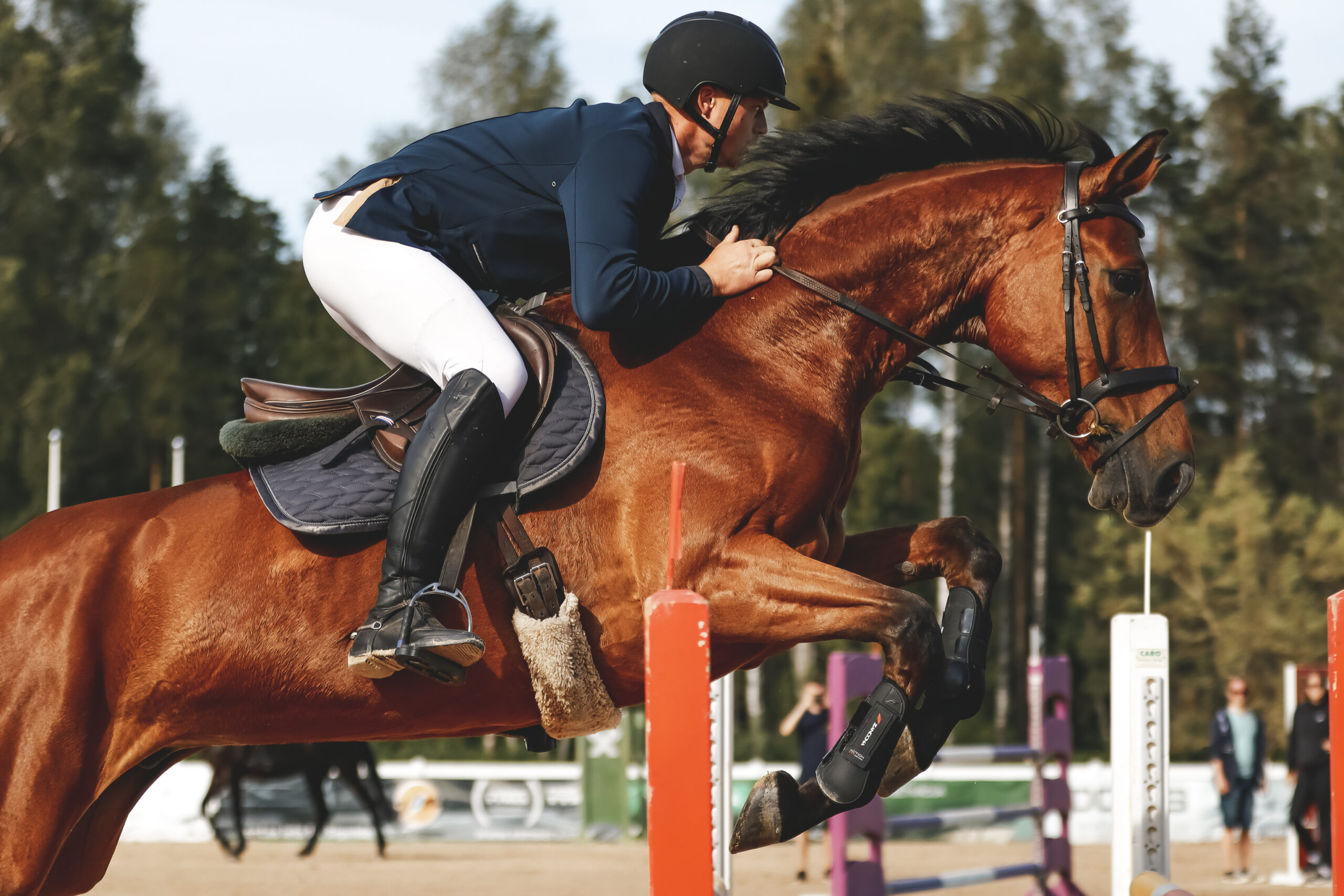 “YRS Open 2025” un Latvijas Jātnieku federācijas kausa izcīņas III posmā uzvar Aleksandrs Šakurovs ar zirgu Arfiju