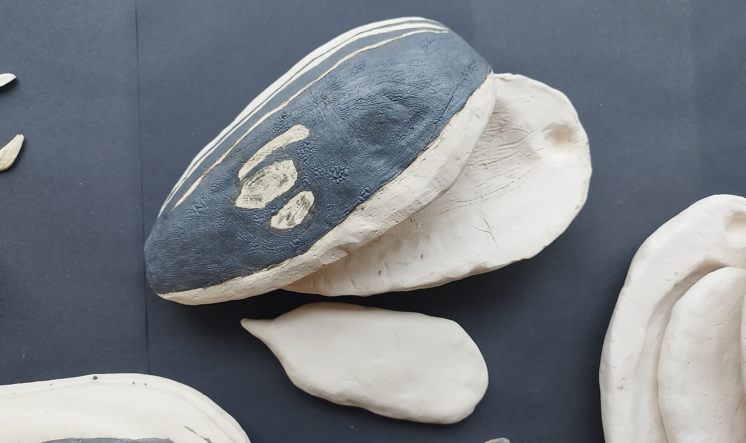 Mālpils bibliotēkā apskatāma Mālpils Mūzikas un mākslas skolas audzēkņu izstāde “No mazas sēkliņas…”