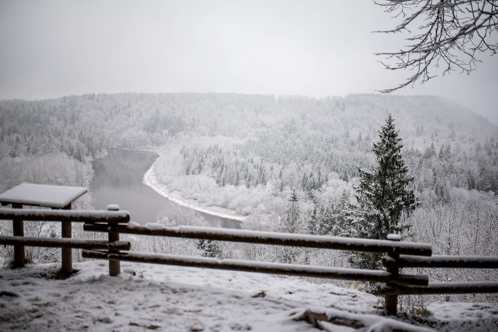 Siguldas novada 7. klašu solēni aicināti piedalīties radošā dabas foto digitālo kartiņu izaicinājumā