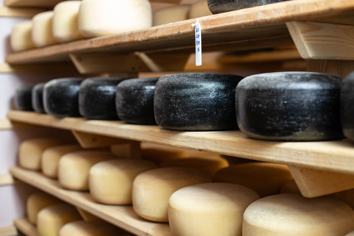 Siguldas novada uzņēmējs “Rehtšprehera siers” iekļauts jaunajā Latvijas kulinārā tūrisma projektā “Siera ceļš”