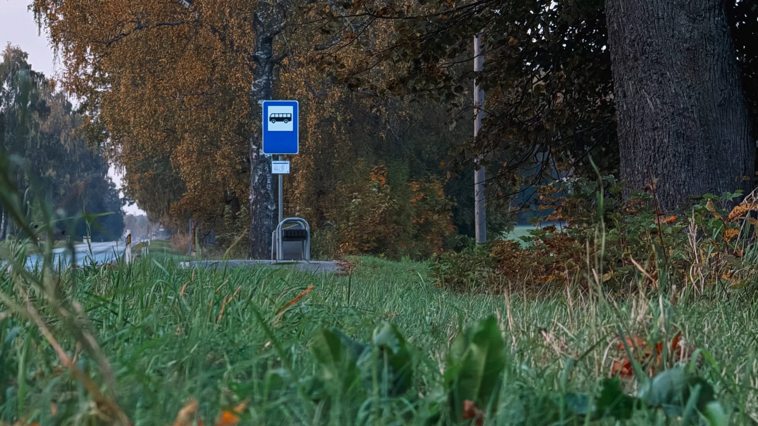 Skolēnu brīvlaikā mainīsies autobusu kustības saraksti maršrutu tīklā Limbaži–Sigulda