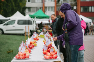 Rudens gadatirgus ar kultūras programmu “Āboli grozā” Mālpilī
