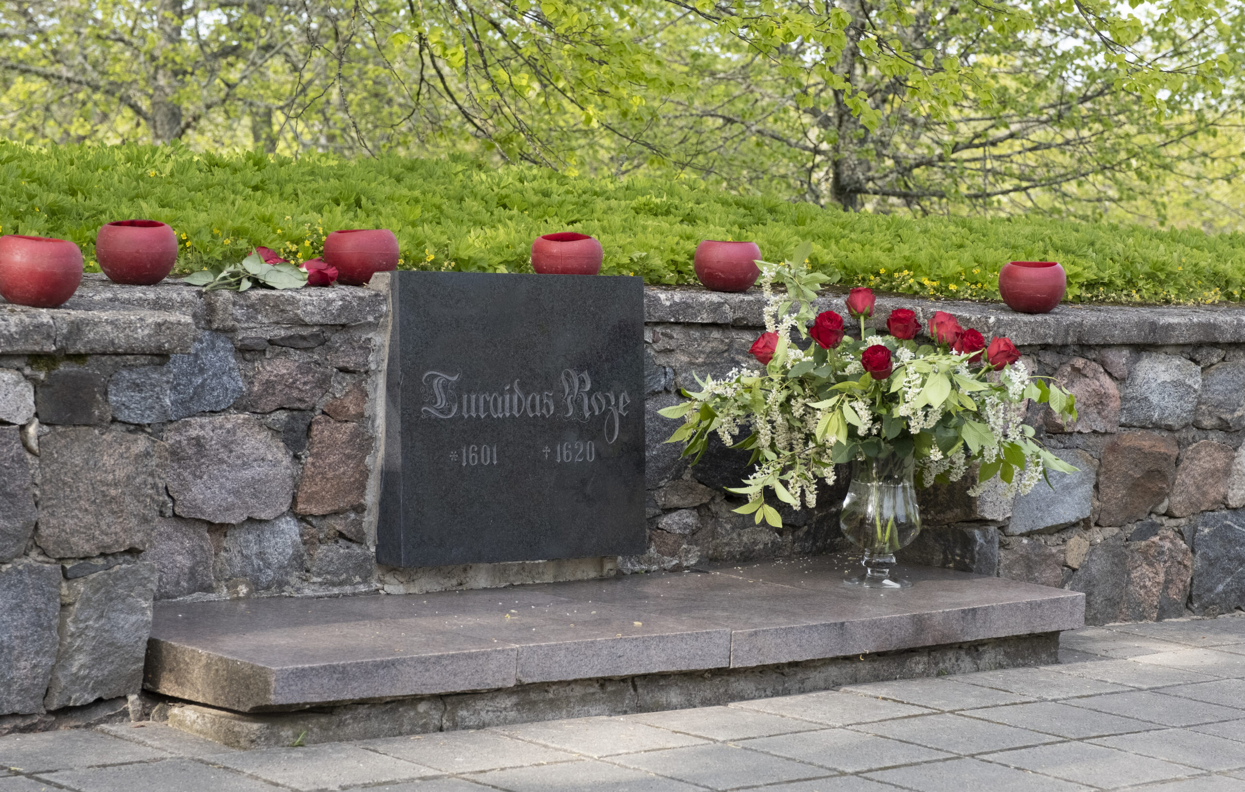 Skolēnus aicina piedalīties konkursā “Roze uzplaukst laikā”