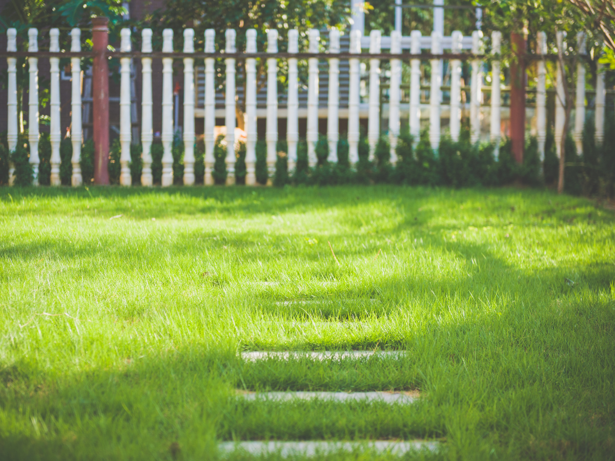 Aicinām vasaras sezonā iedzīvotājus rūpēties par īpašumu un piegulošo teritoriju sakopšanu