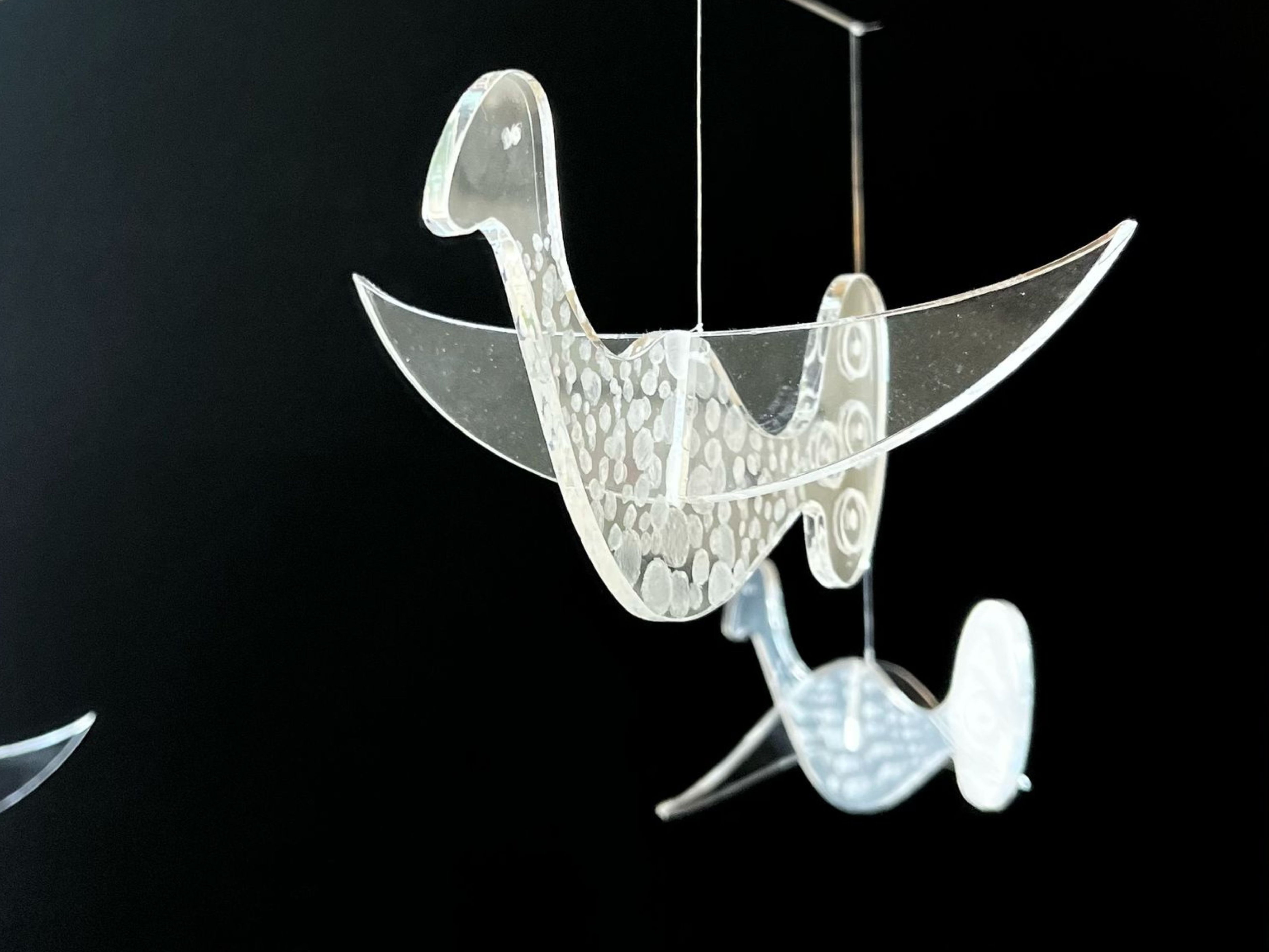 Krimuldas Mūzikas un mākslas skolas audzēkne Elīza Korsaka izstrādājusi diplomdarbu lībiešu kultūras popularizēšanai