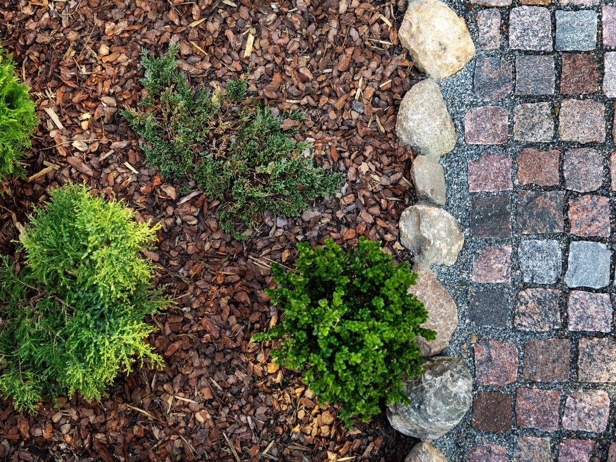 Vēl līdz 31. jūlijam var pieteikties konkursam “Gada balva “Latvijas sakoptākais daudzdzīvokļu mājas pagalms 2025””