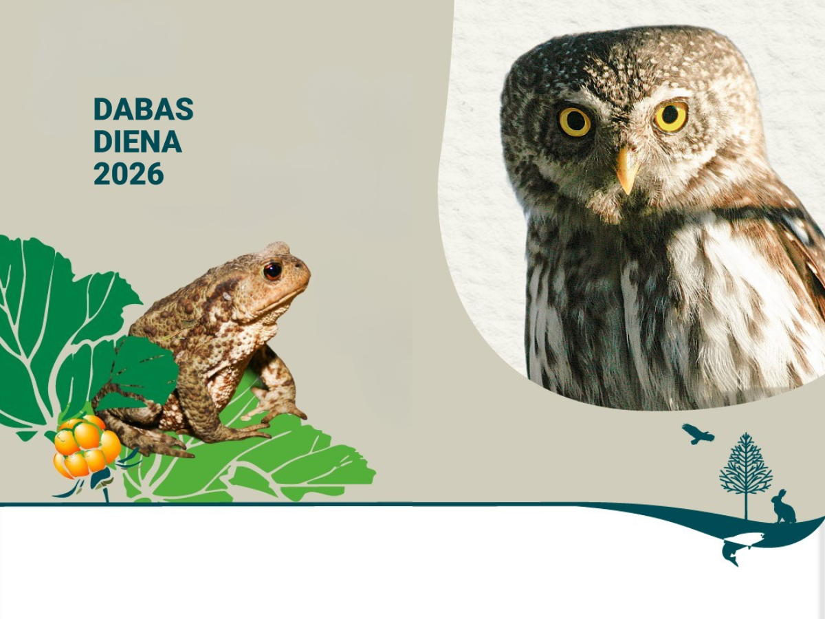 Apodziņš un krupis izaicina skolēnus: sākas konkurss par gada dabas simboliem