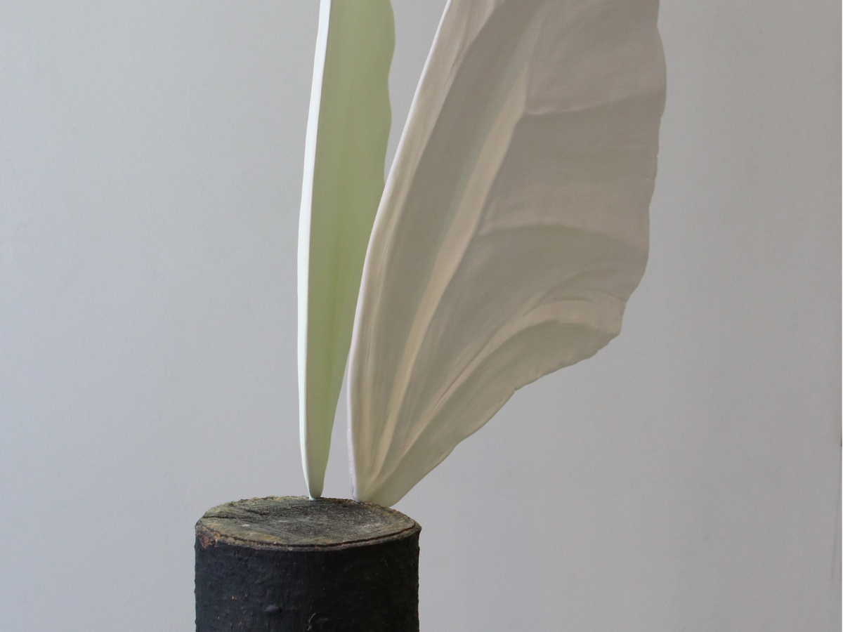 Mālpils Kultūras centrā tiks atklāta Lienes Mackus personālizstāde “Dārza piezīmes 3”