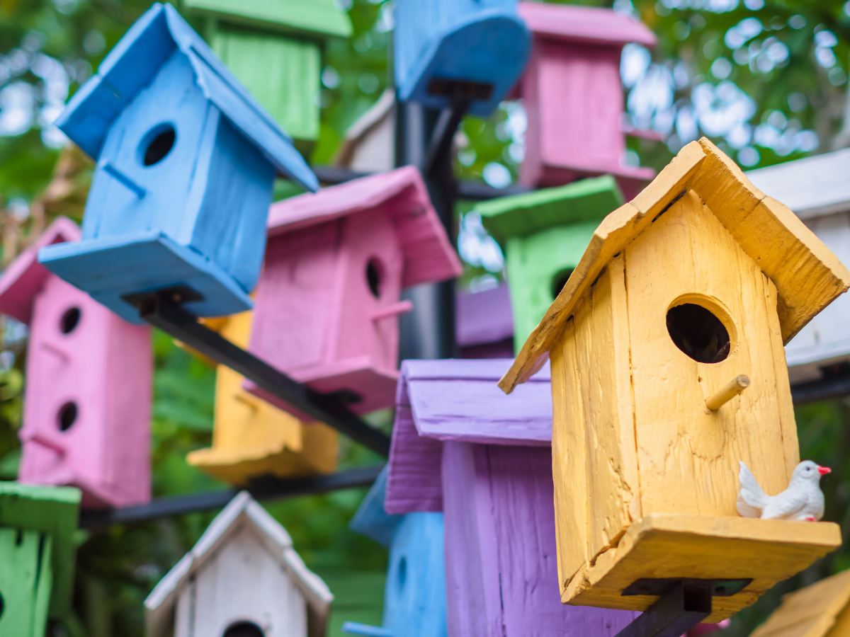 Putnu medības bibliotēkā
