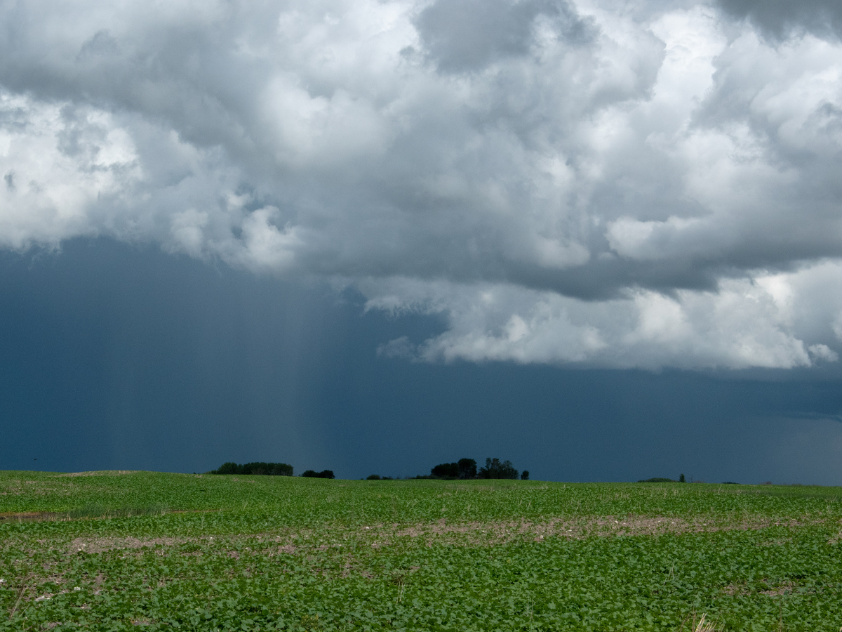 Gaidāmas stipras lietusgāzes ar vēja brāzmām; iedzīvotājus aicina būt piesardzīgiem