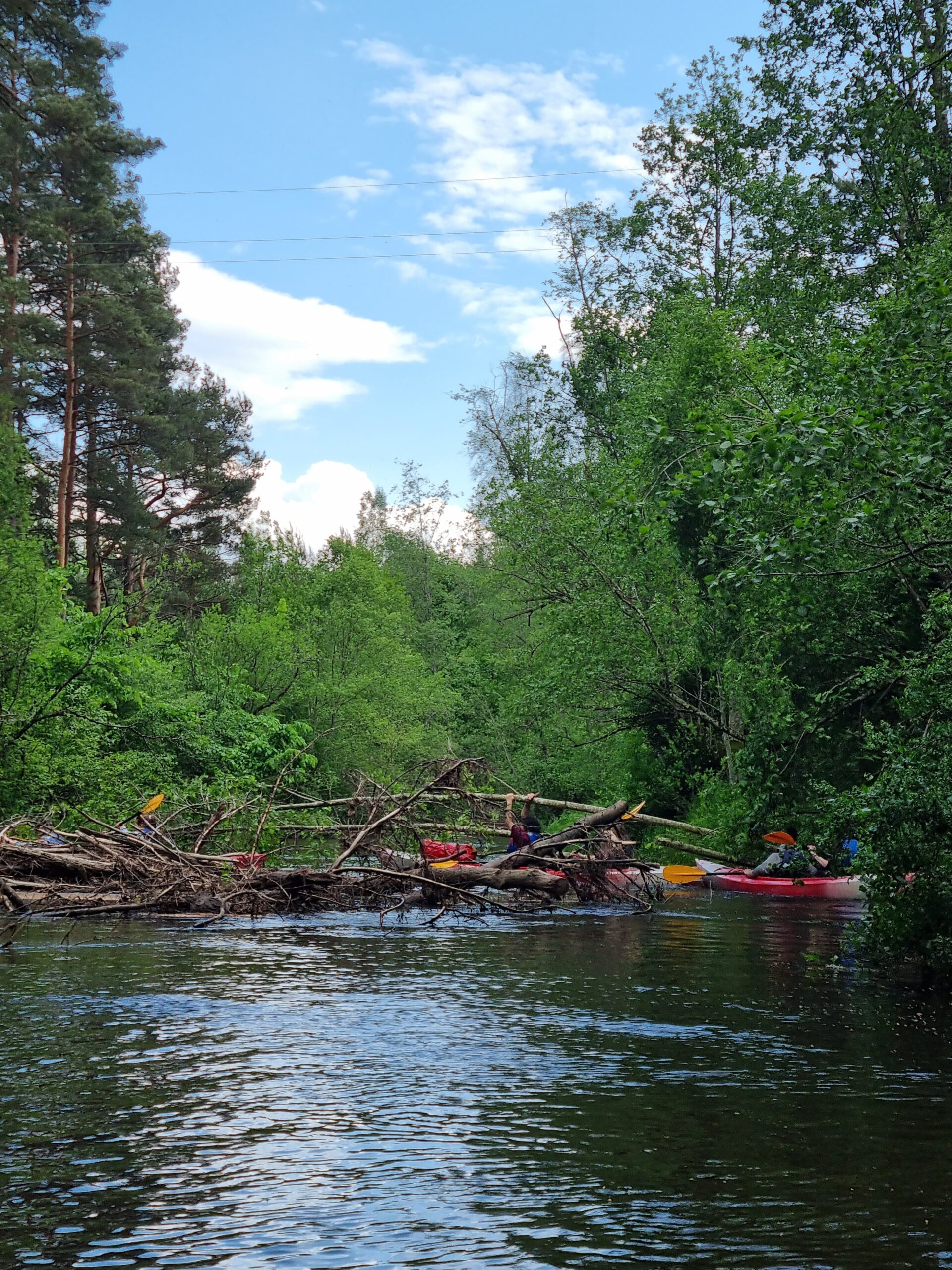 WhatsApp Image 2025-06-11 at 06.38.40