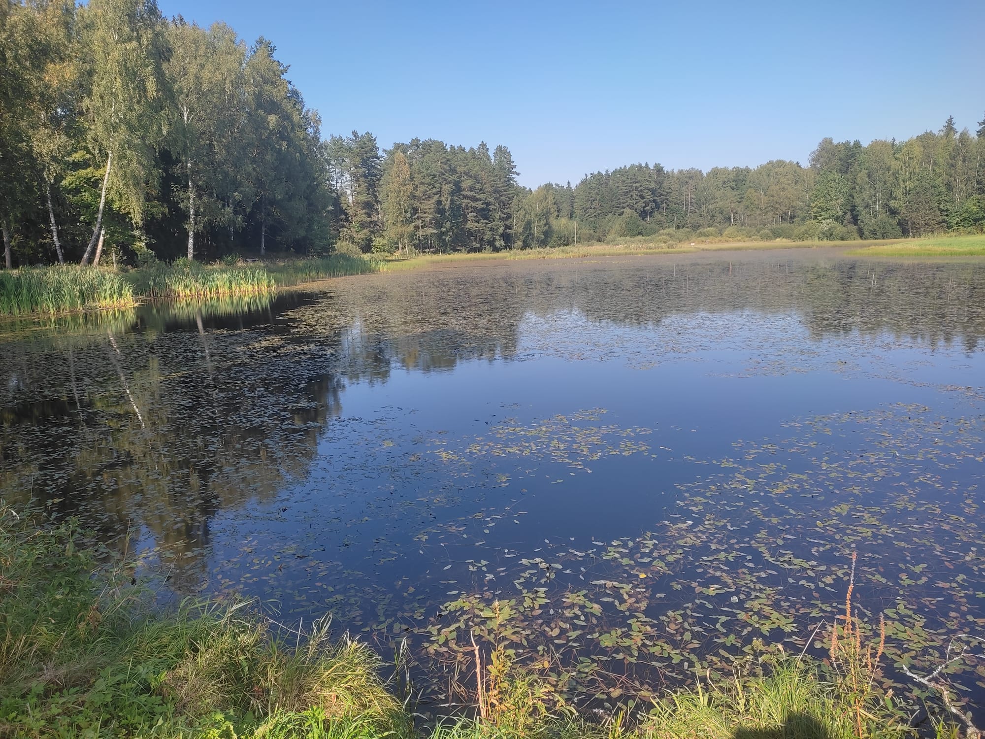 Uzsāk Tautu dīķa revitalizācijas projekta īstenošanu Mores pagastā