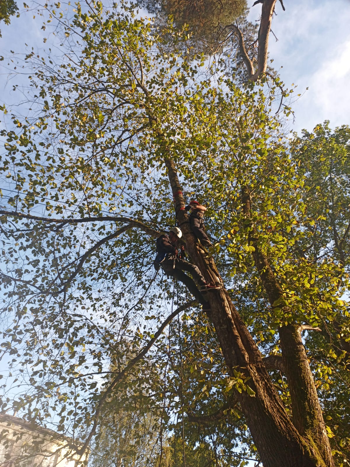 WhatsApp Image 2025-10-14 at 09.09.39 (1)