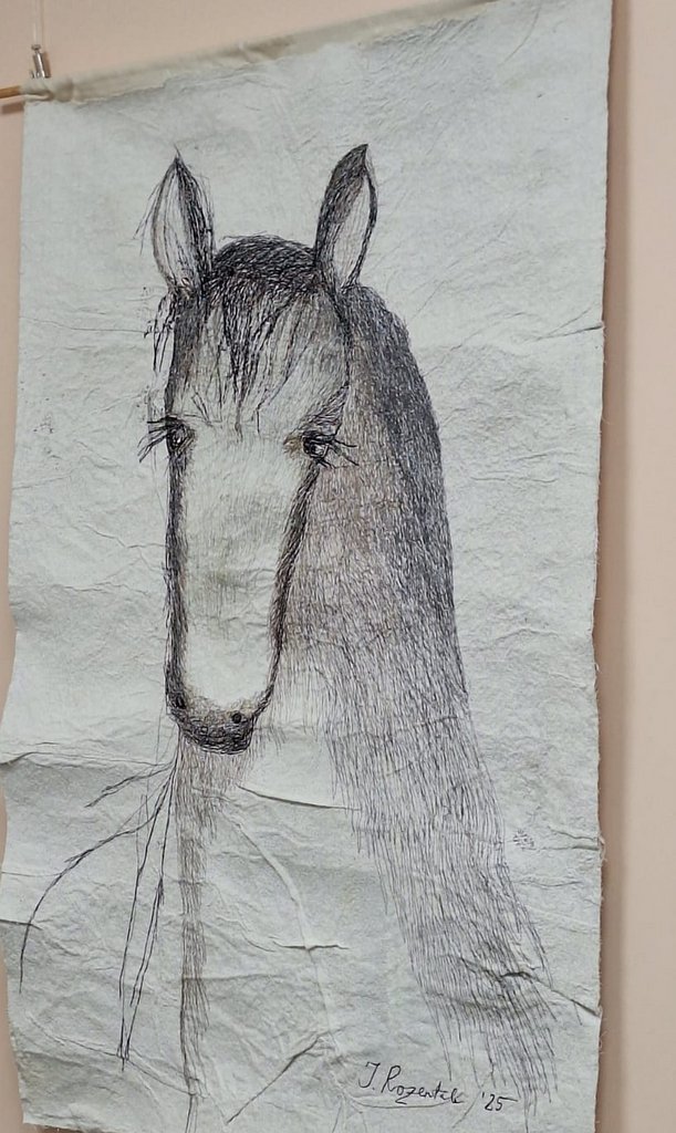 WhatsApp Image 2025-12-17 at 16.51.56