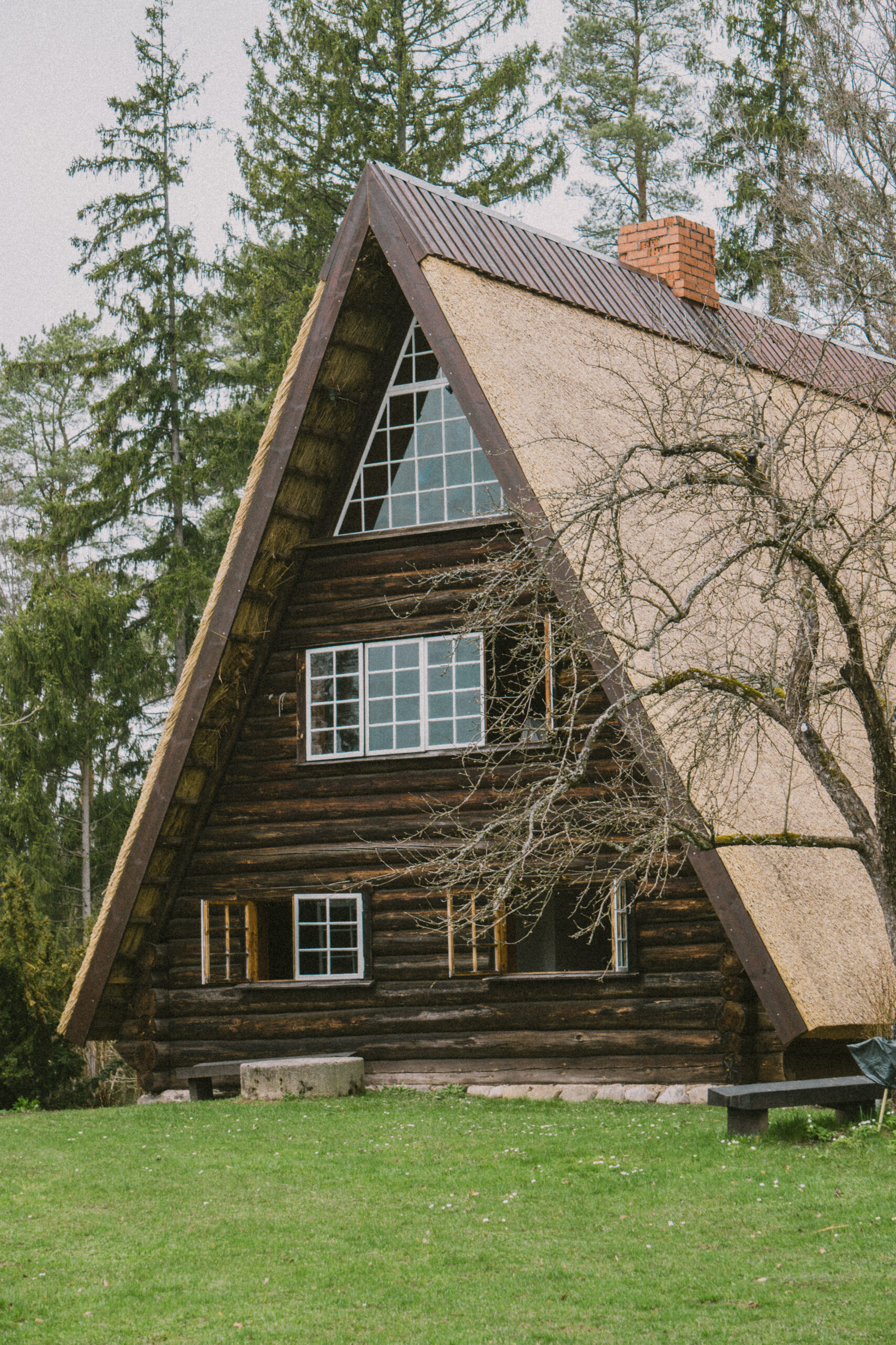 Ziedoņa muzejs aicina uz sezonas atklāšanas svētkiem