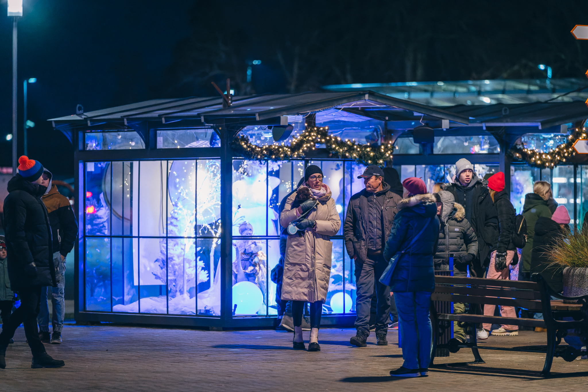 Ekspozīcija “Ziemas sapnis Siguldā”