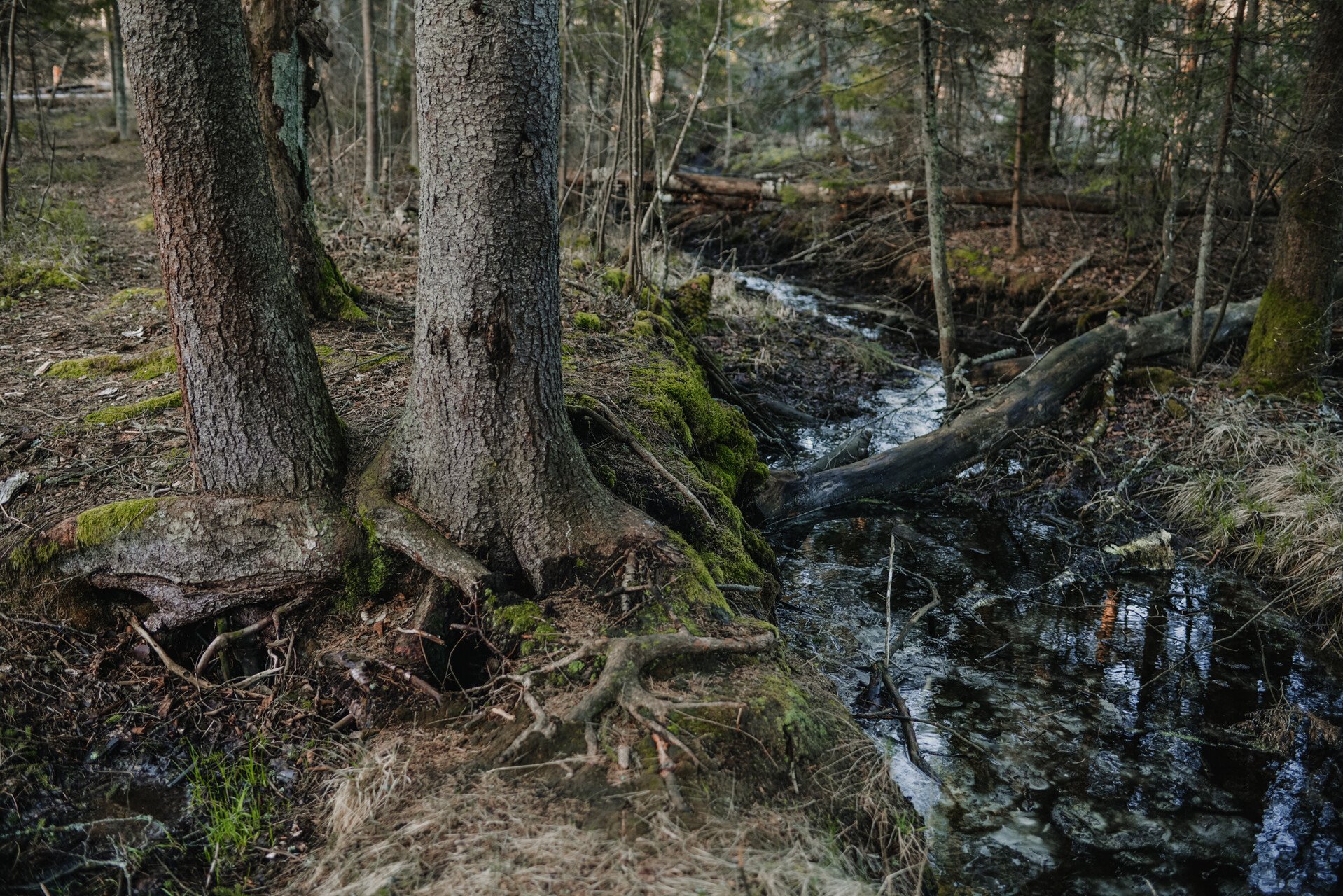 Pārbaudīti ūdens paraugi no vairākiem Siguldas novada avotiem