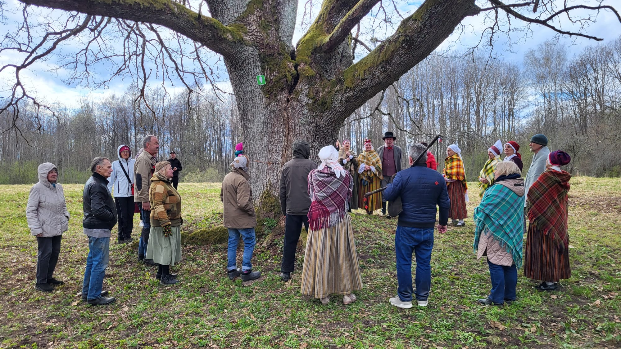 Pie Mores dižozola aizvadīta tradīcijām bagāta Ūsiņdienas talka