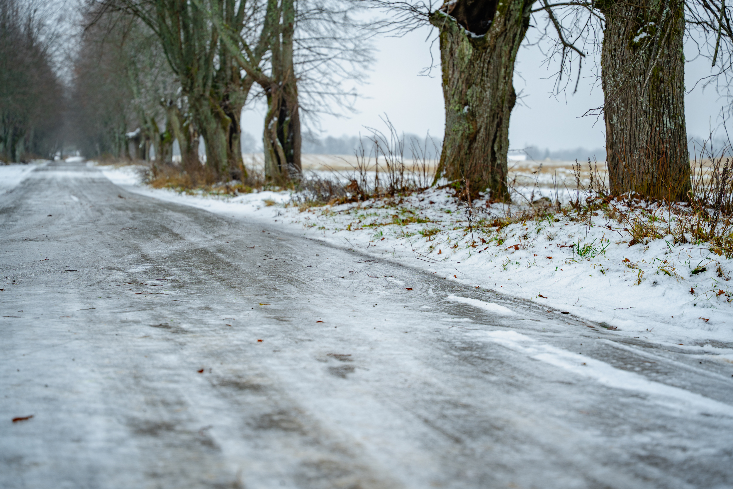 Siguldas novadā izveidojies bīstams apledojums – ziemas dienesti strādā pastiprinātā režīmā