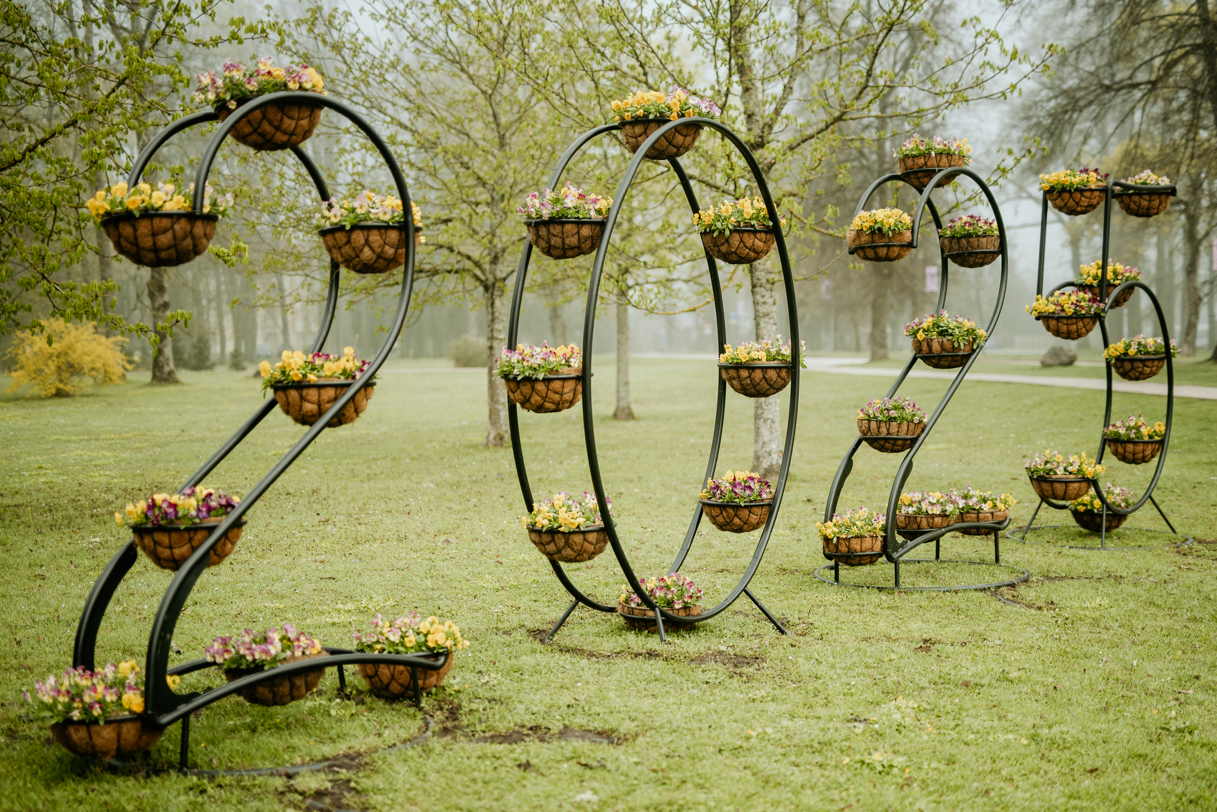 atraitnites_migla_Si-67.2025 (1)