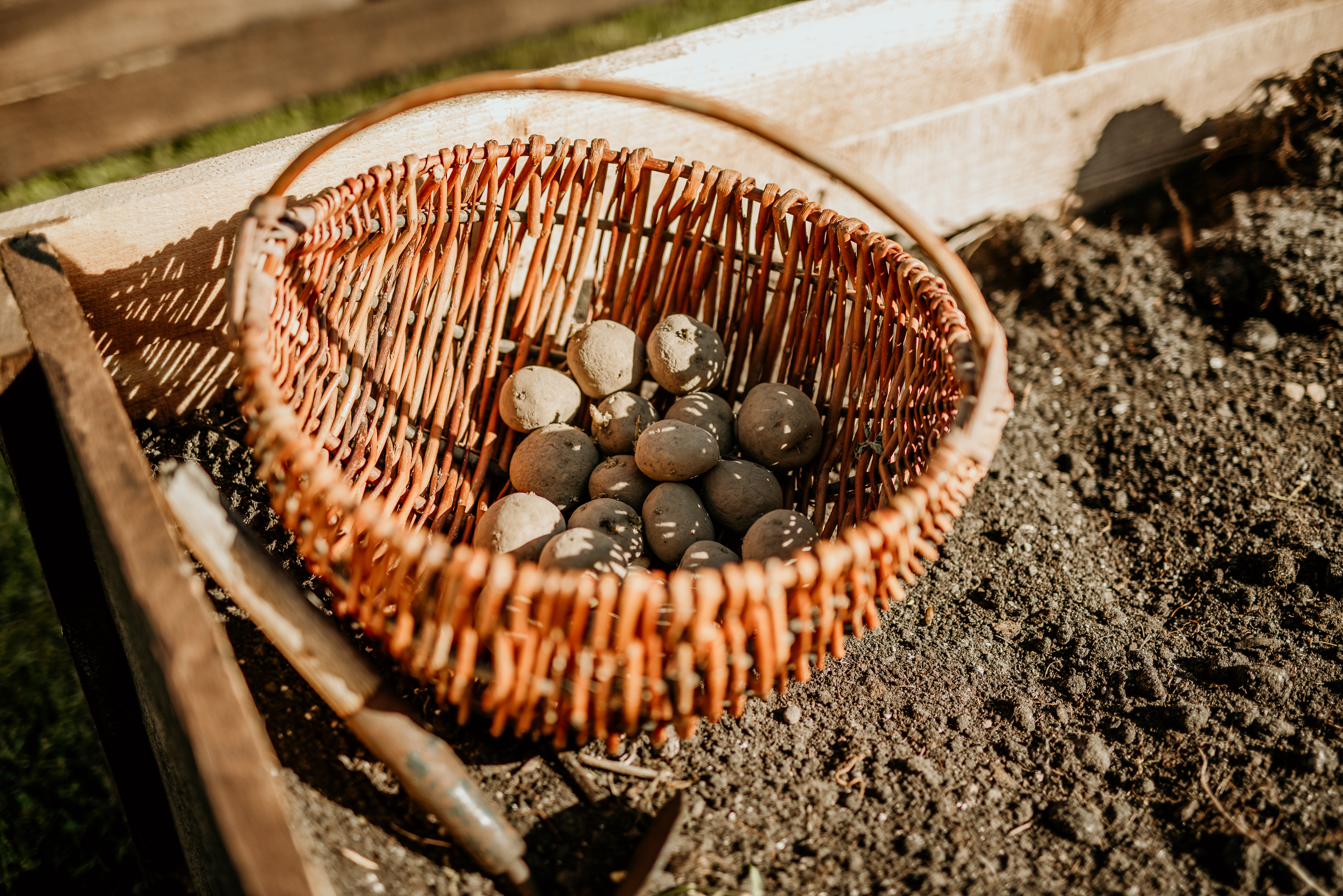 augu_stadisana_Krimuldas_vsk-3