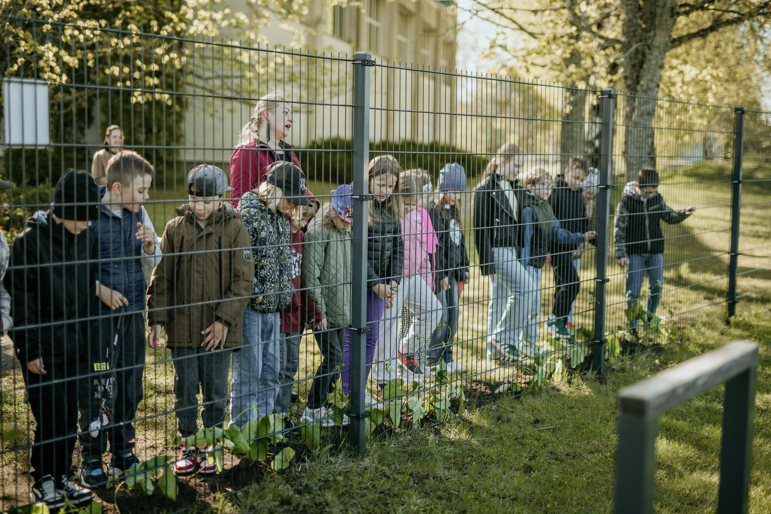 augu_stadisana_Krimuldas_vsk-32