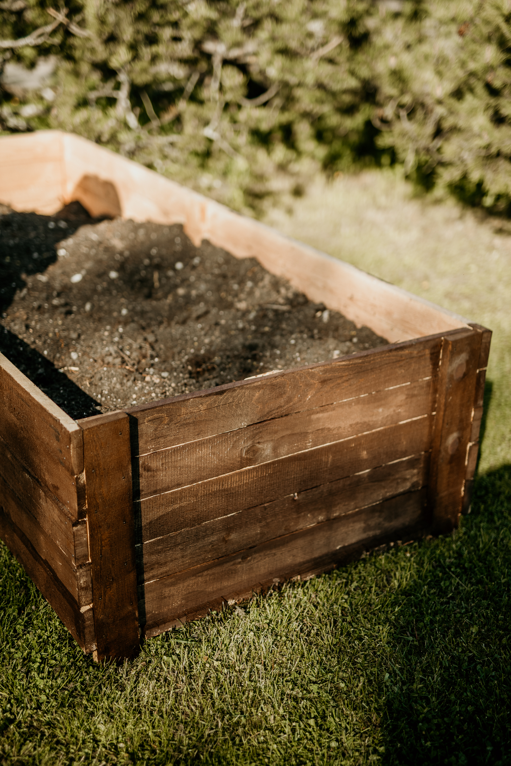 augu_stadisana_Krimuldas_vsk