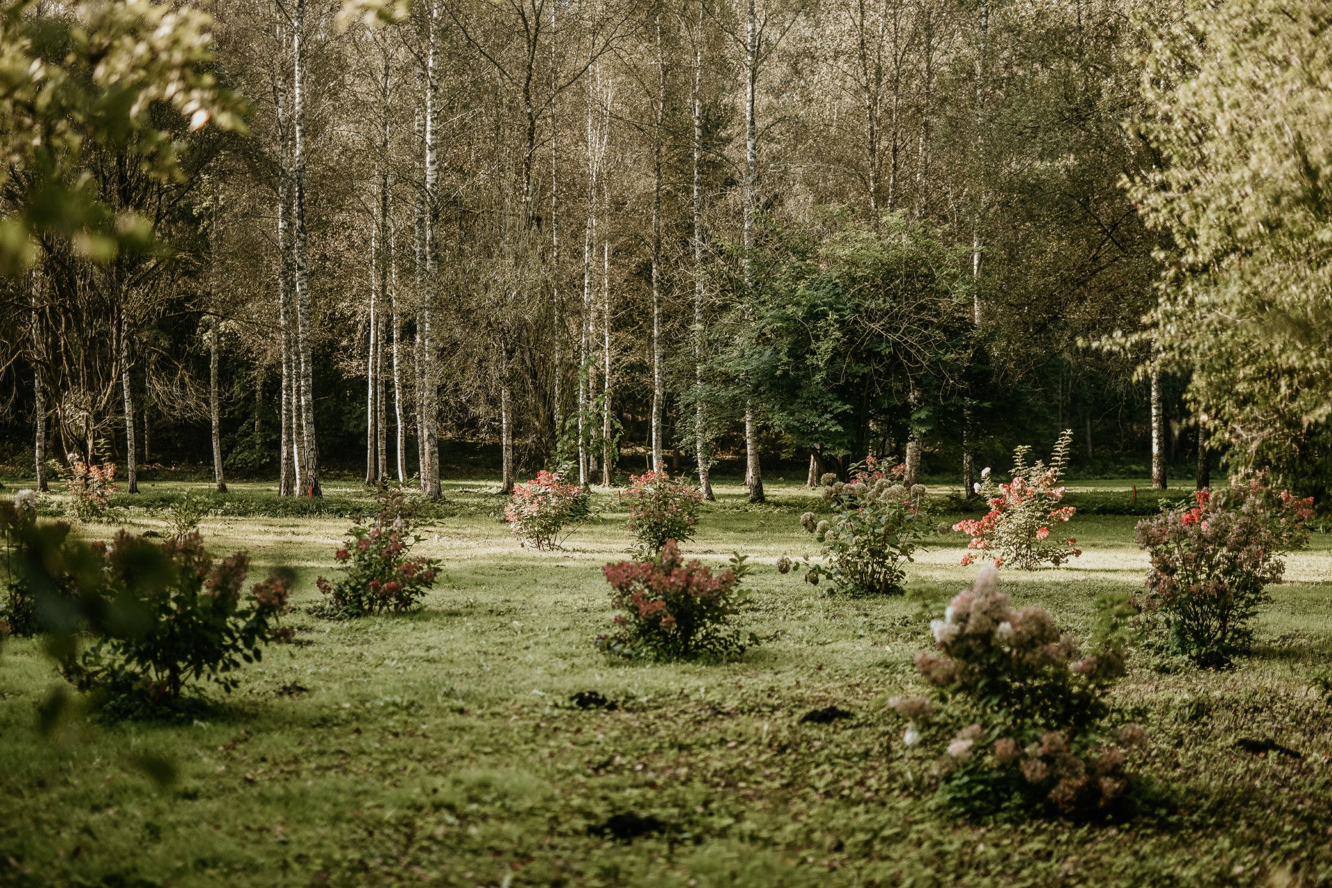 Lēdurgas dendroparks un disku golfa laukums atkal atver durvis apmeklētājiem
