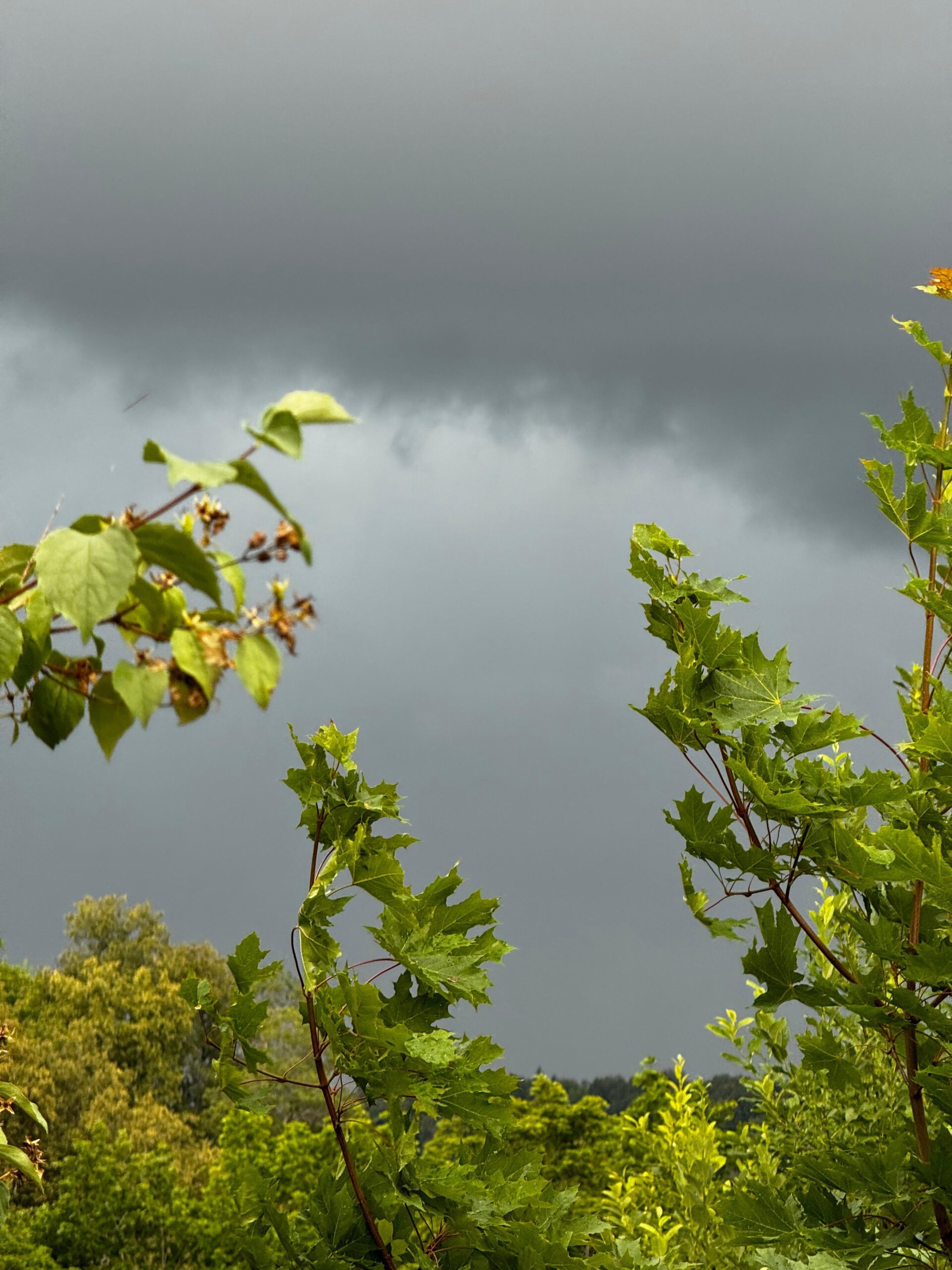 Gaidāmas stipras lietusgāzes; iedzīvotājus aicina būt piesardzīgiem